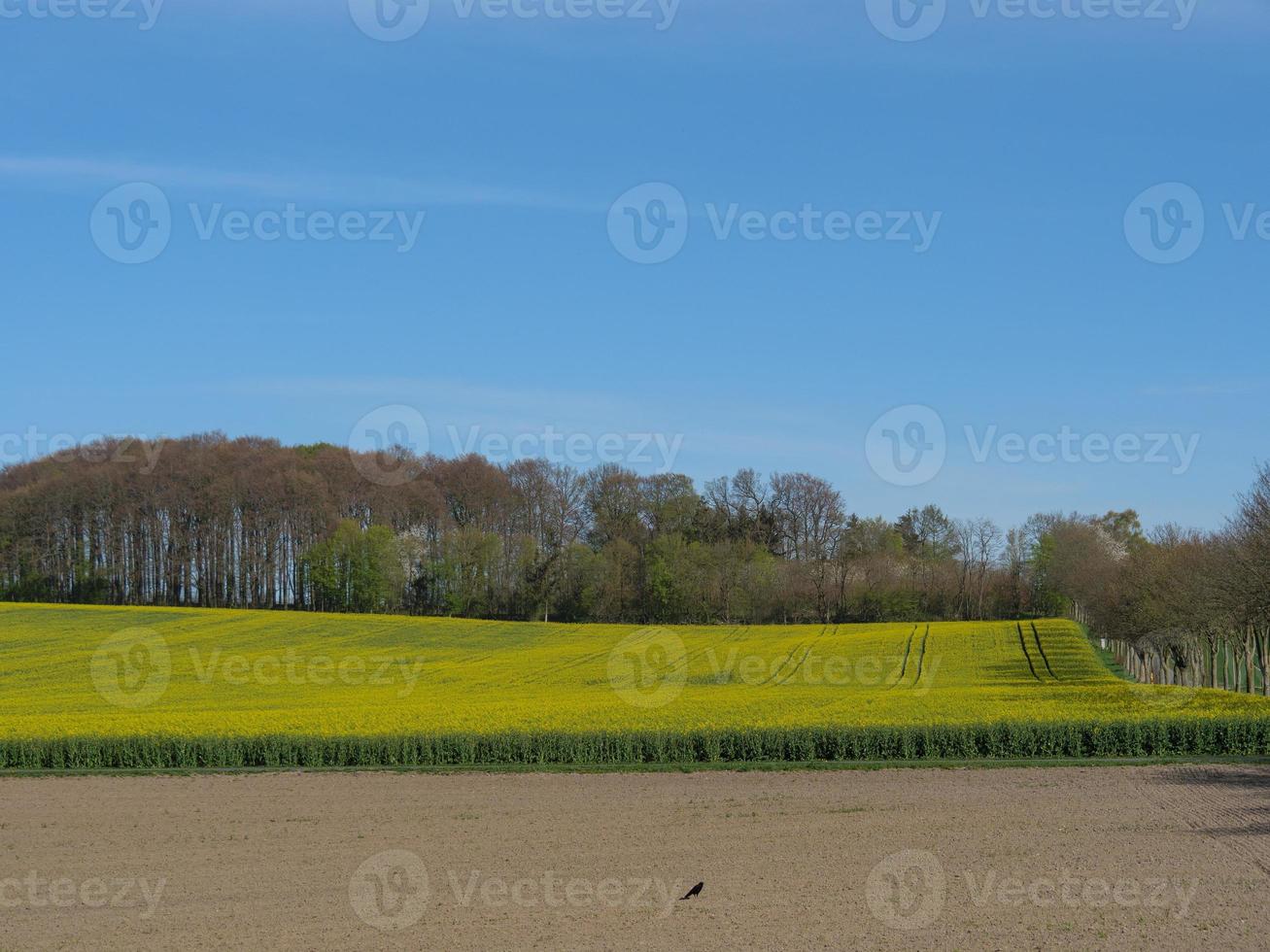 primavera tempo nel westfalia foto