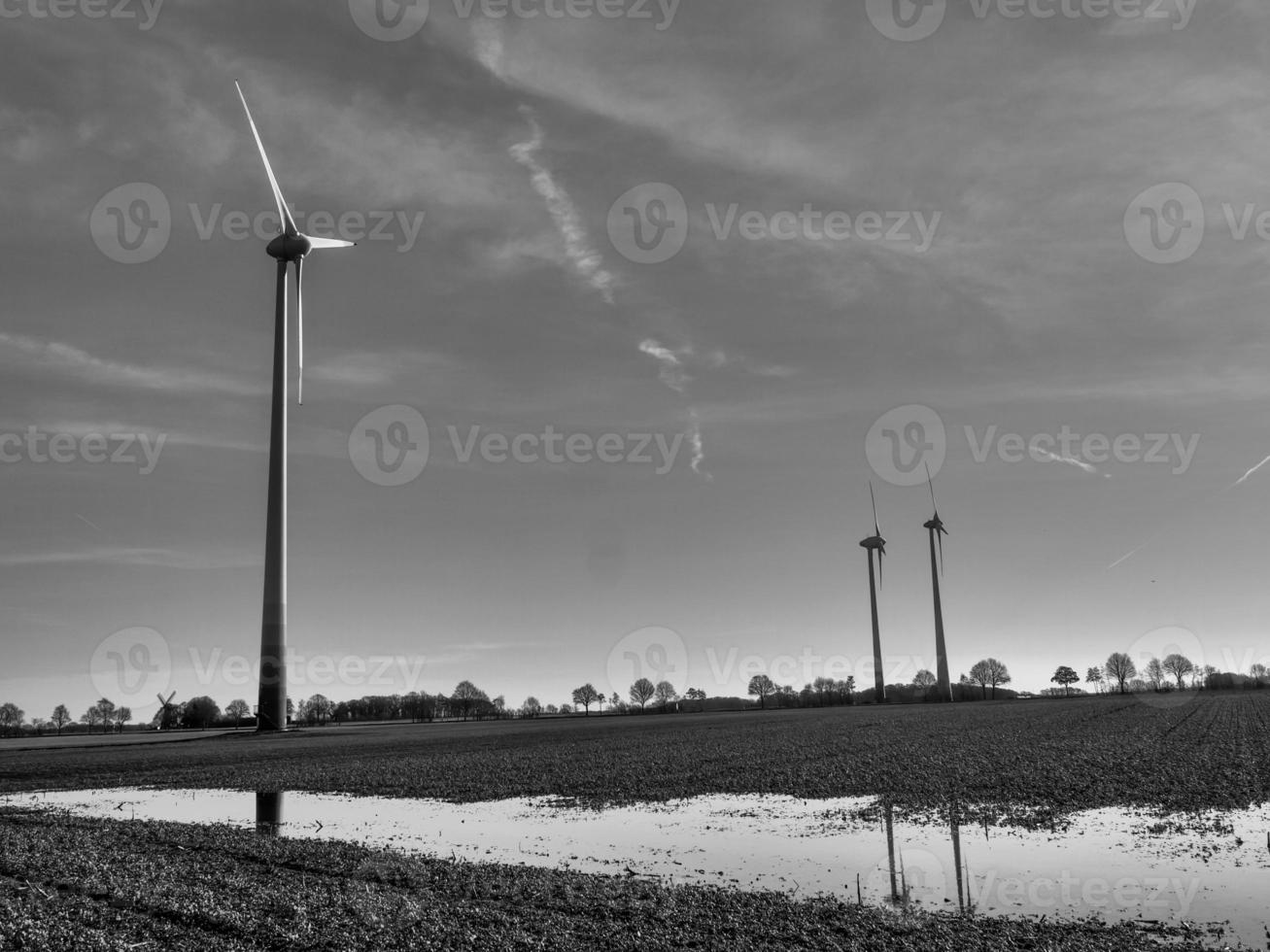 il Tedesco Münsterland foto