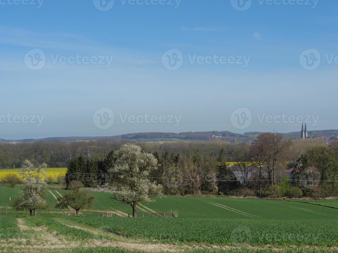 primavera tempo nel il Tedesco baumber foto