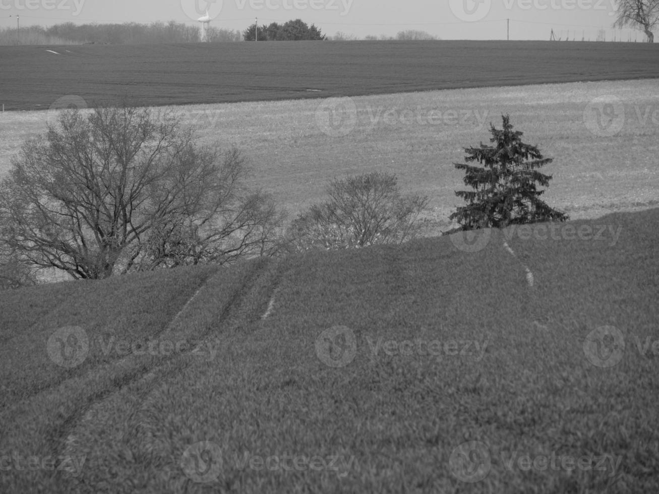 escursioni a piedi nel il Tedesco westfalia foto