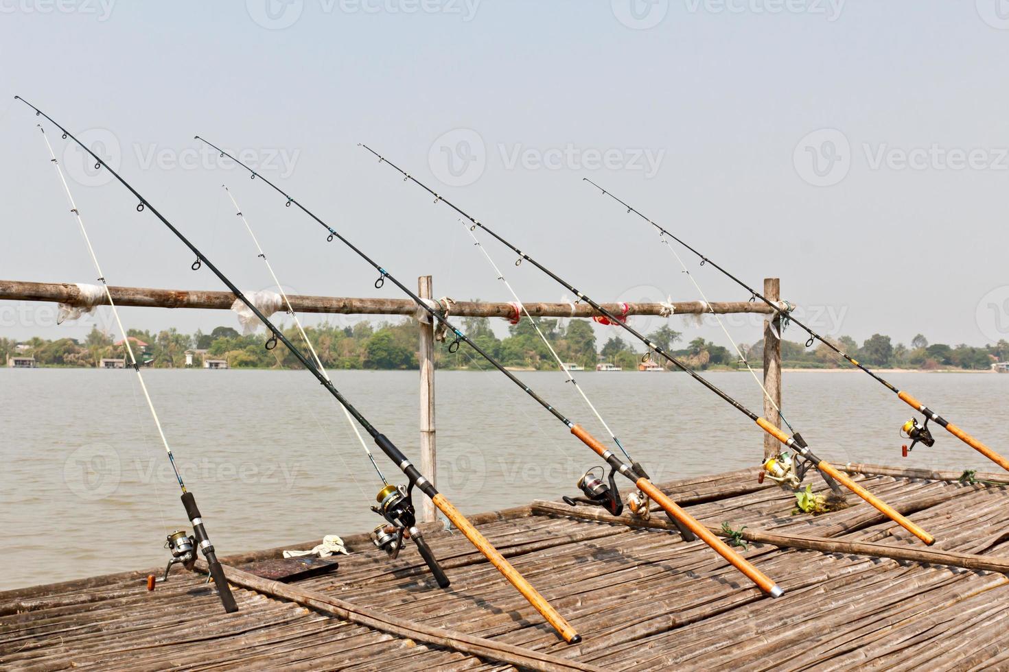 pesca poli su molo foto