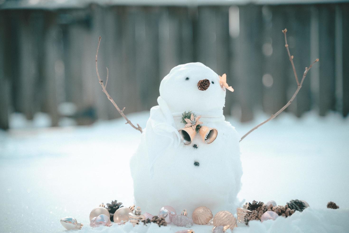 allegro Natale e contento nuovo anno saluto carta con copia-spazio.molti pupazzi di neve in piedi nel inverno Natale paesaggio.inverno sfondo.pupazzo di neve con asciutto fiore e pino . contento vacanza e celebrazione. foto