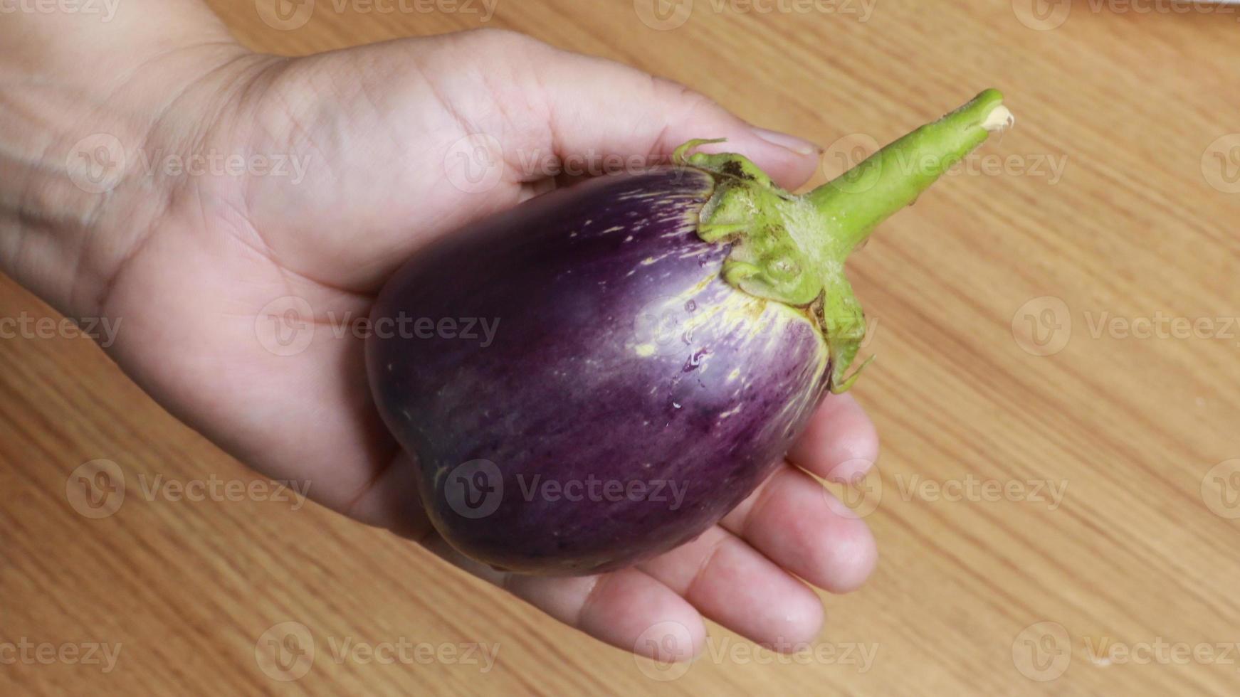 totale fresco melanzana o melanzana porta, viola melanzana melanzana al vapore cucinato con Spezia e erba per congelato e conserva per dopo cucinando foto