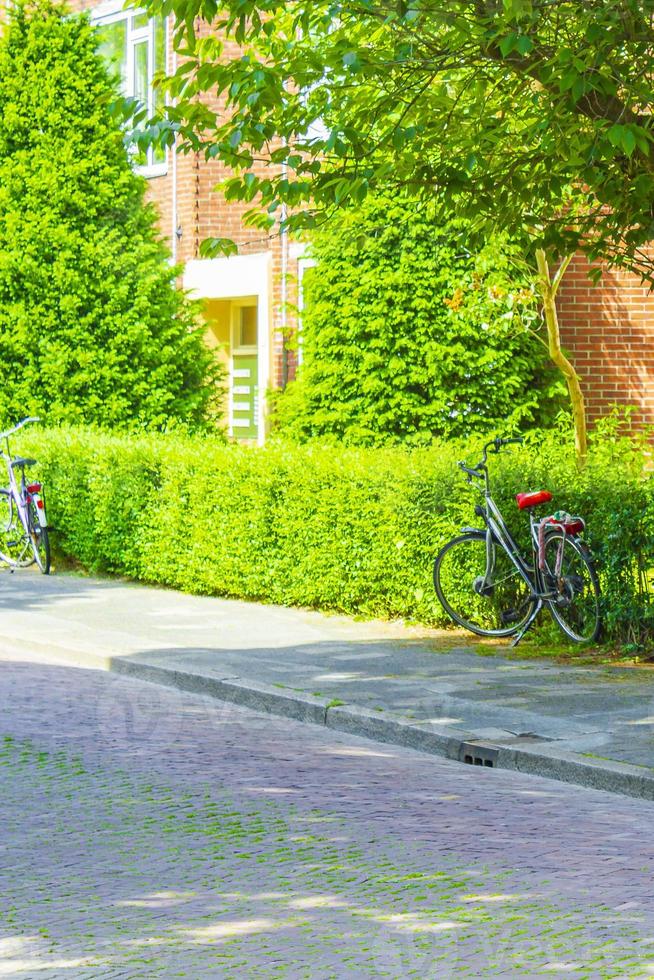 bicicletta bicicletta a parco alberi impianti città di groningen Olanda. foto