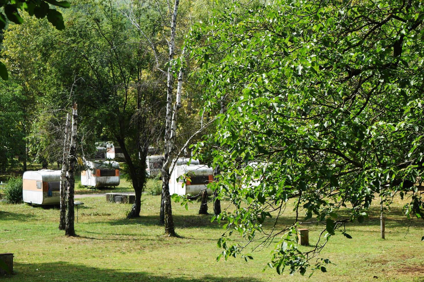 campeggio nel il foresta a partire dal un' camper foto