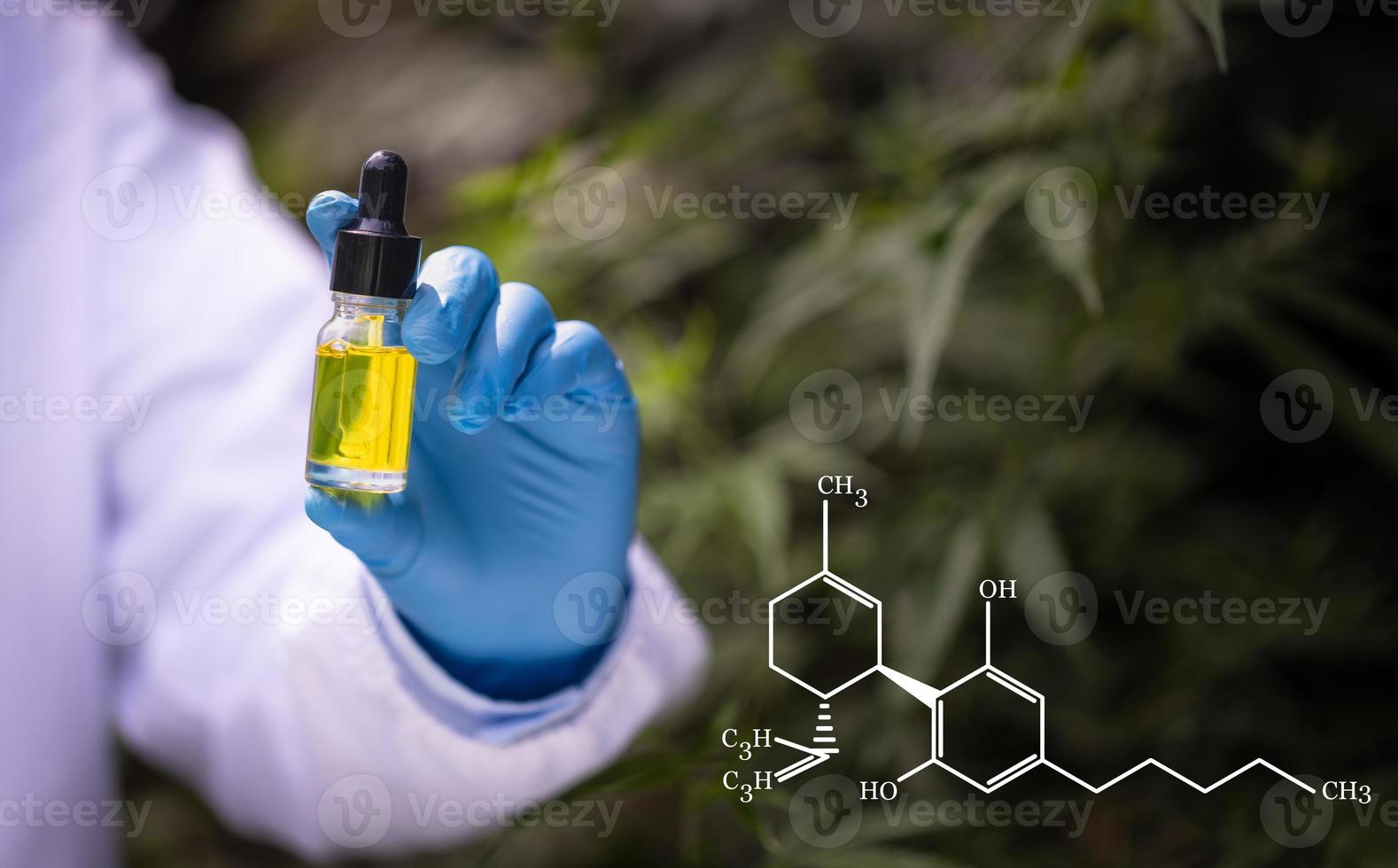 medici che tengono una bottiglia di olio di cannabis in pipetta, prodotto di canapa, olio di cannabis cbd. concetto di marijuana medica. foto