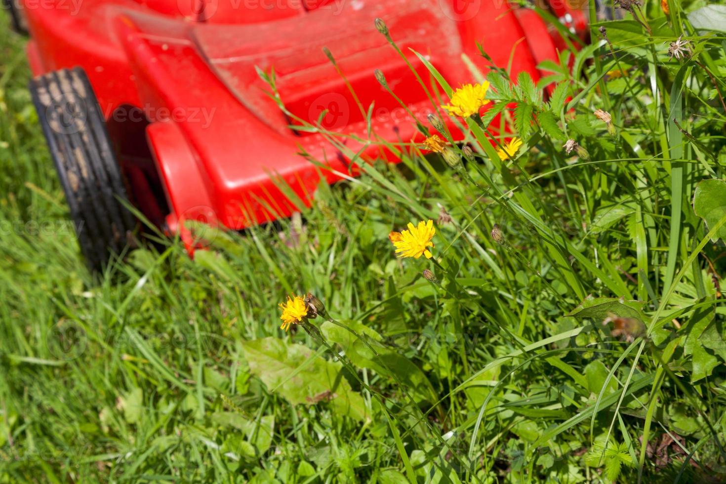 verde erba e rosso prato falciatore foto