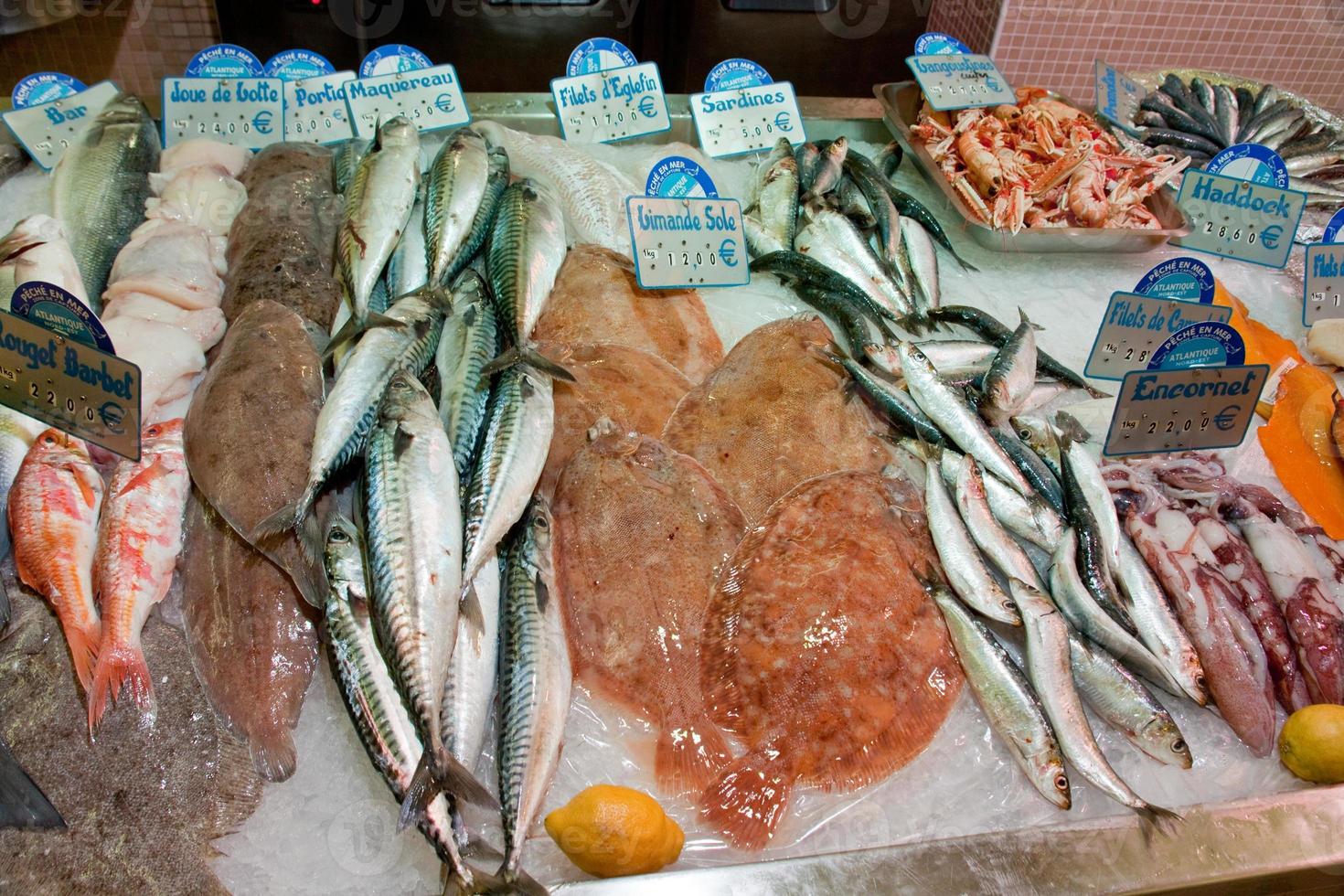 pesce e frutti di mare nel pesce memorizzare foto