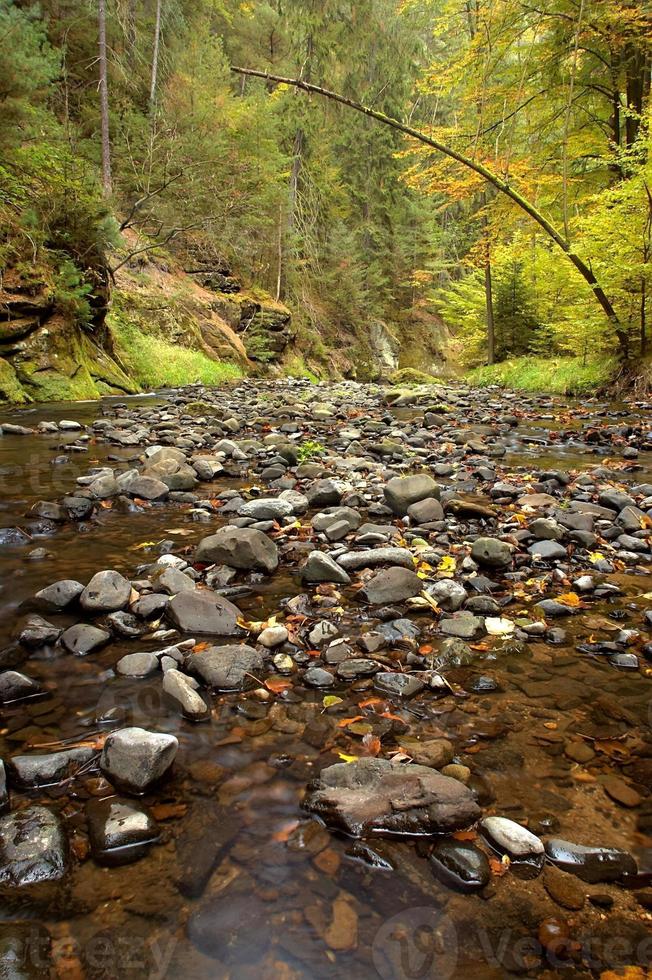 fiume con pietre foto