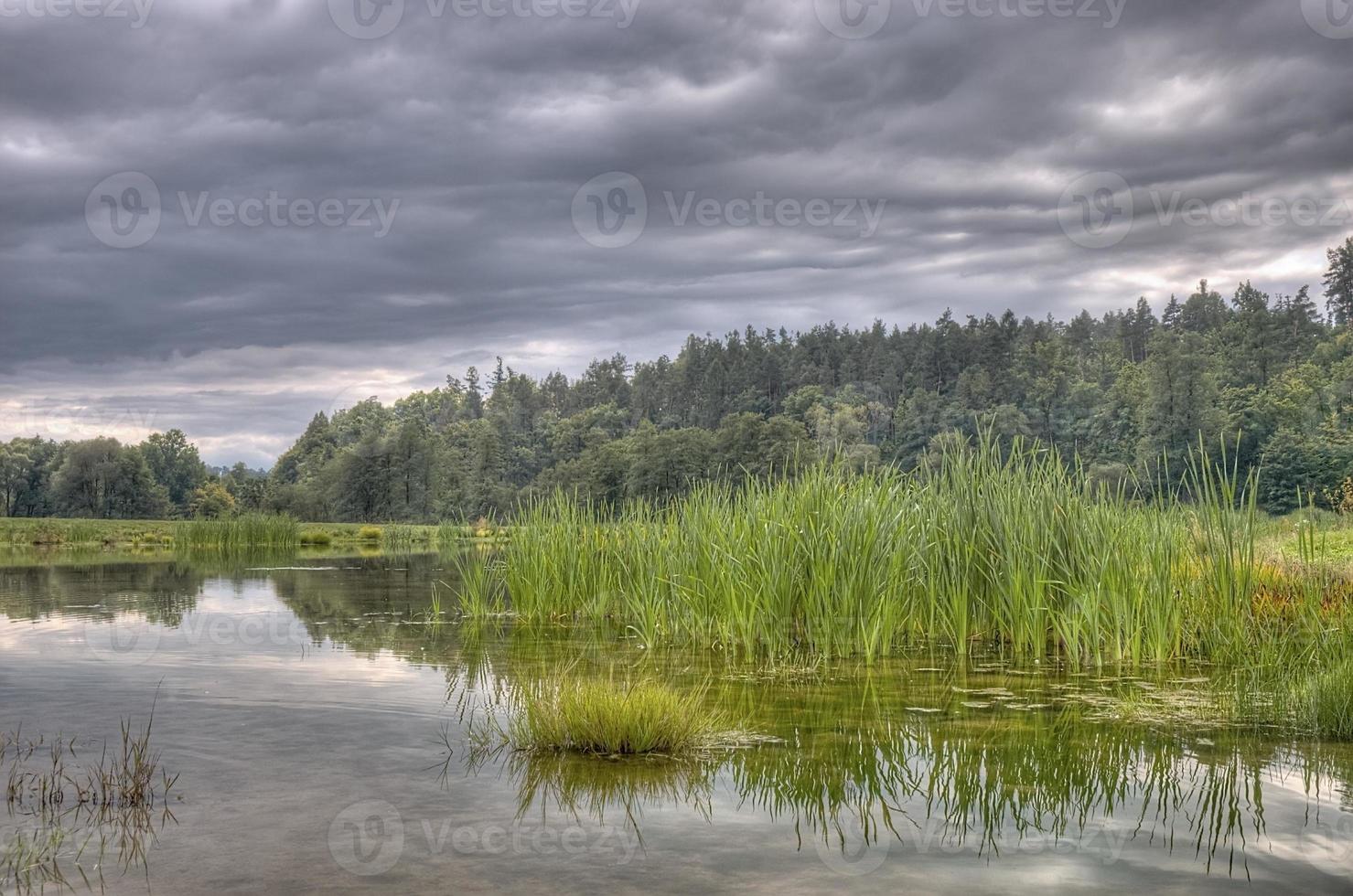 paesaggio stagno quando nuvoloso foto