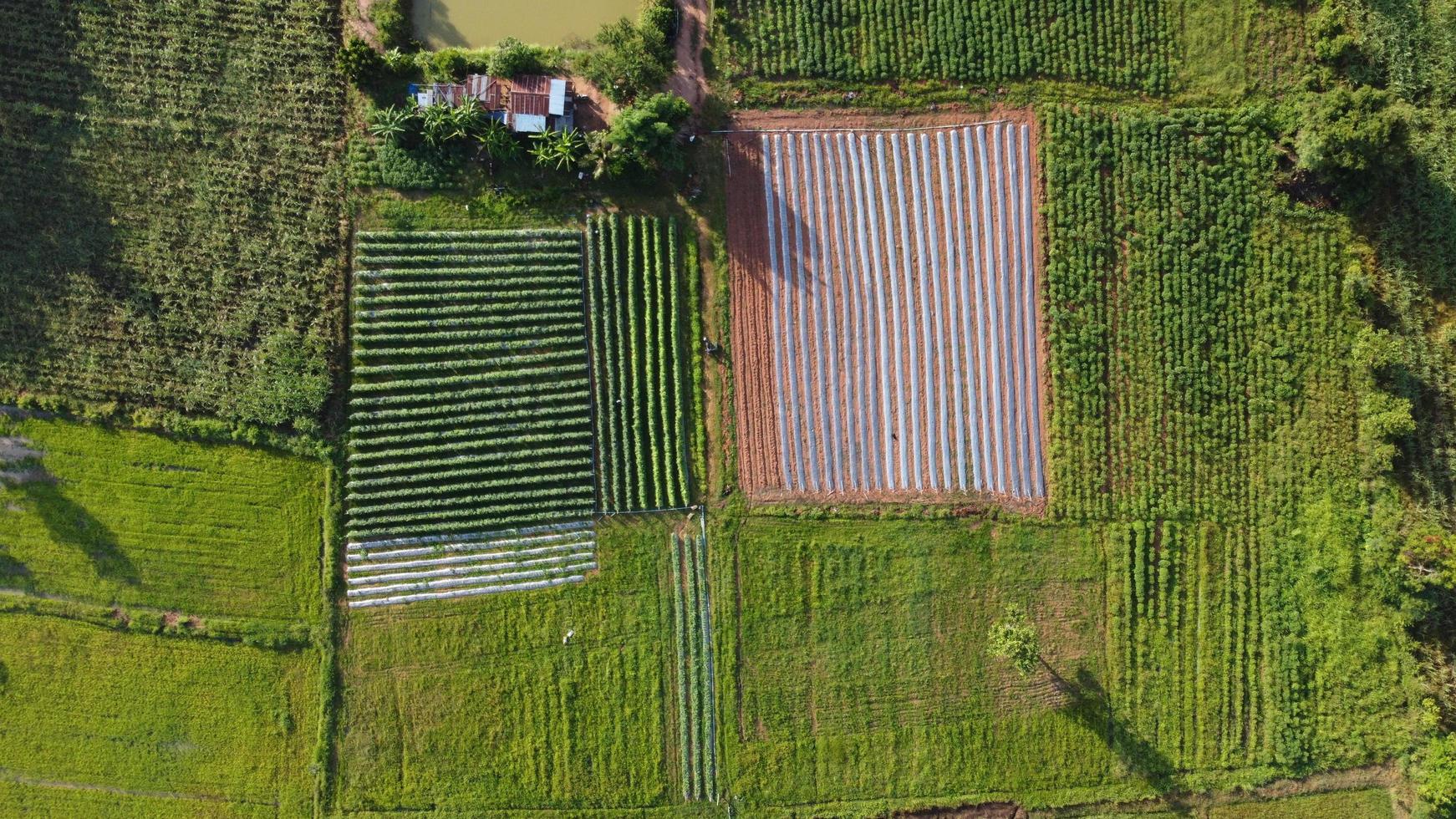 aereo Visualizza di montagna è bellissimo Tailandia foto