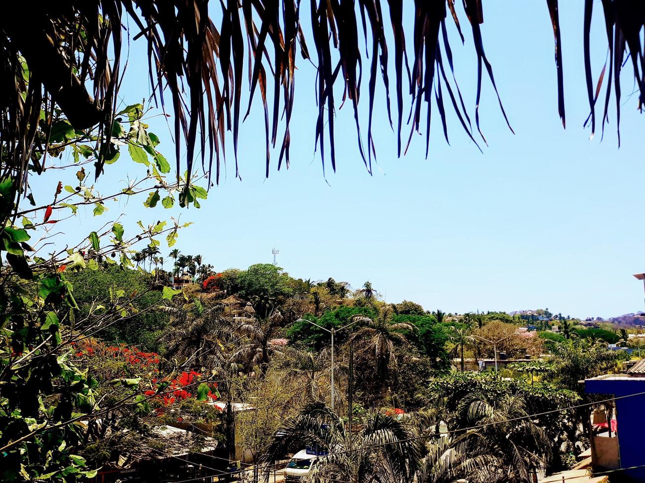 tropicale Sayulita orizzonte foto