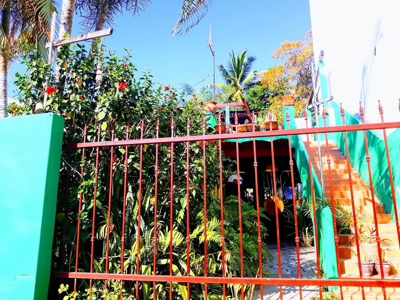 arancia tropicale cancello foto