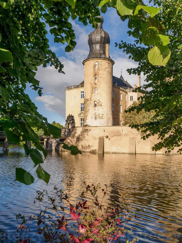 foresta e castello nel westfalia foto