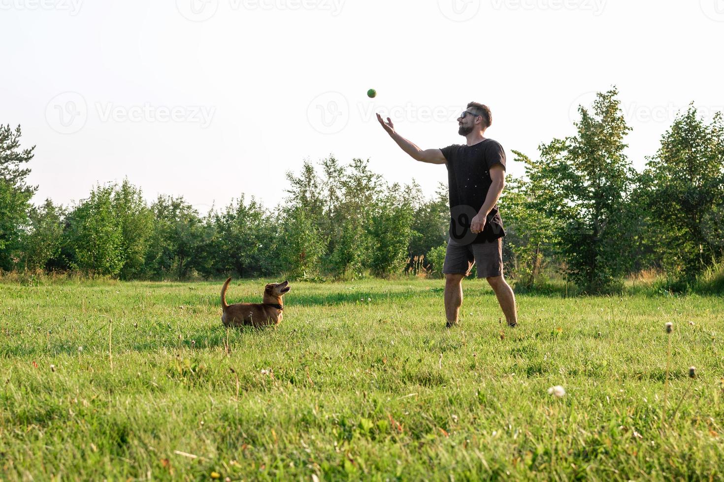 bello uomo è lancio palla per il suo poco contento cane. migliore amici siamo giocando insieme nel parco nel il estate. foto