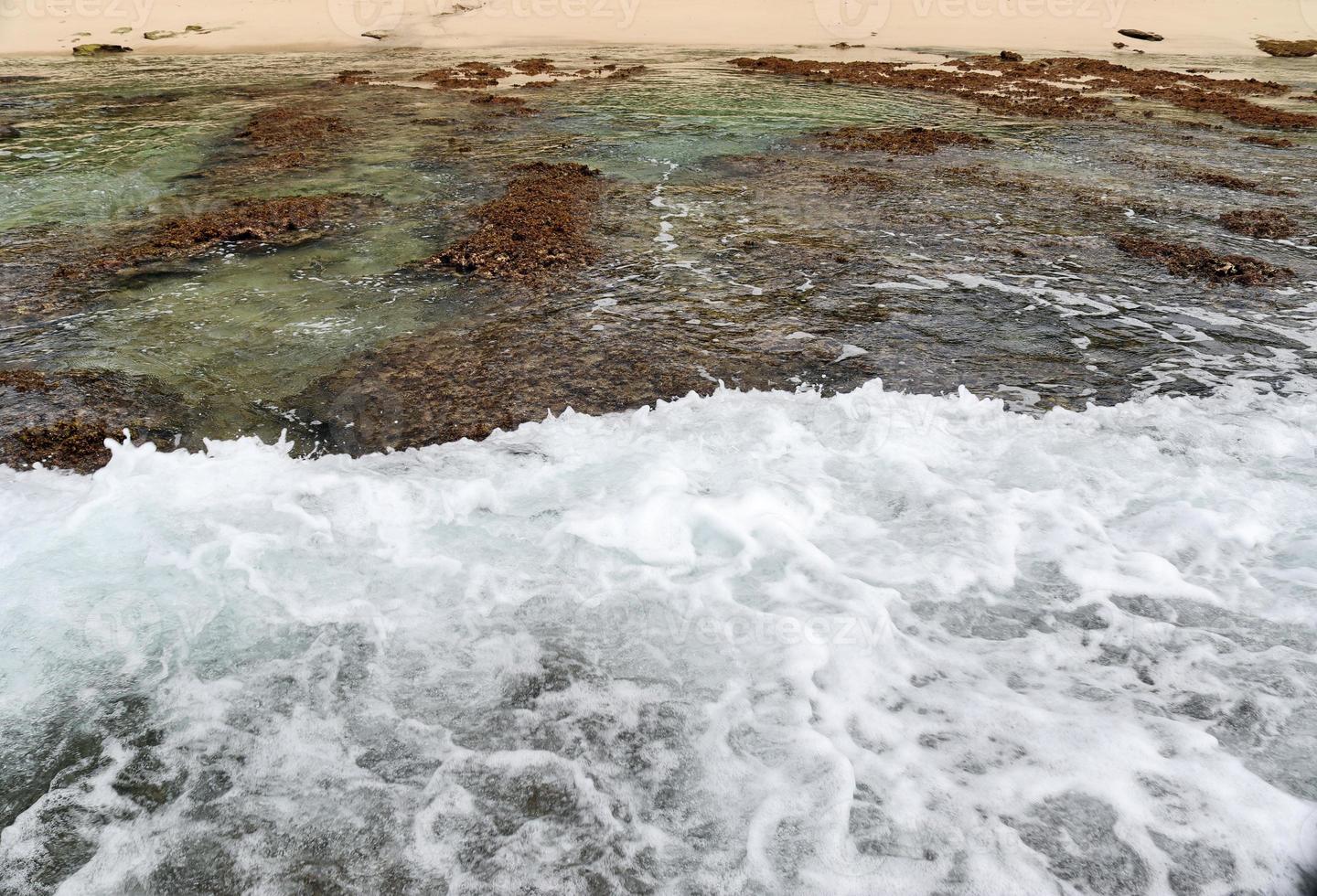 sbalorditivo indiano oceano onde a il spiagge su il Paradiso isola Seychelles foto