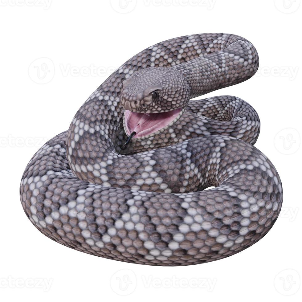 occidentale diamondback serpente a sonagli 3d illustrazione foto