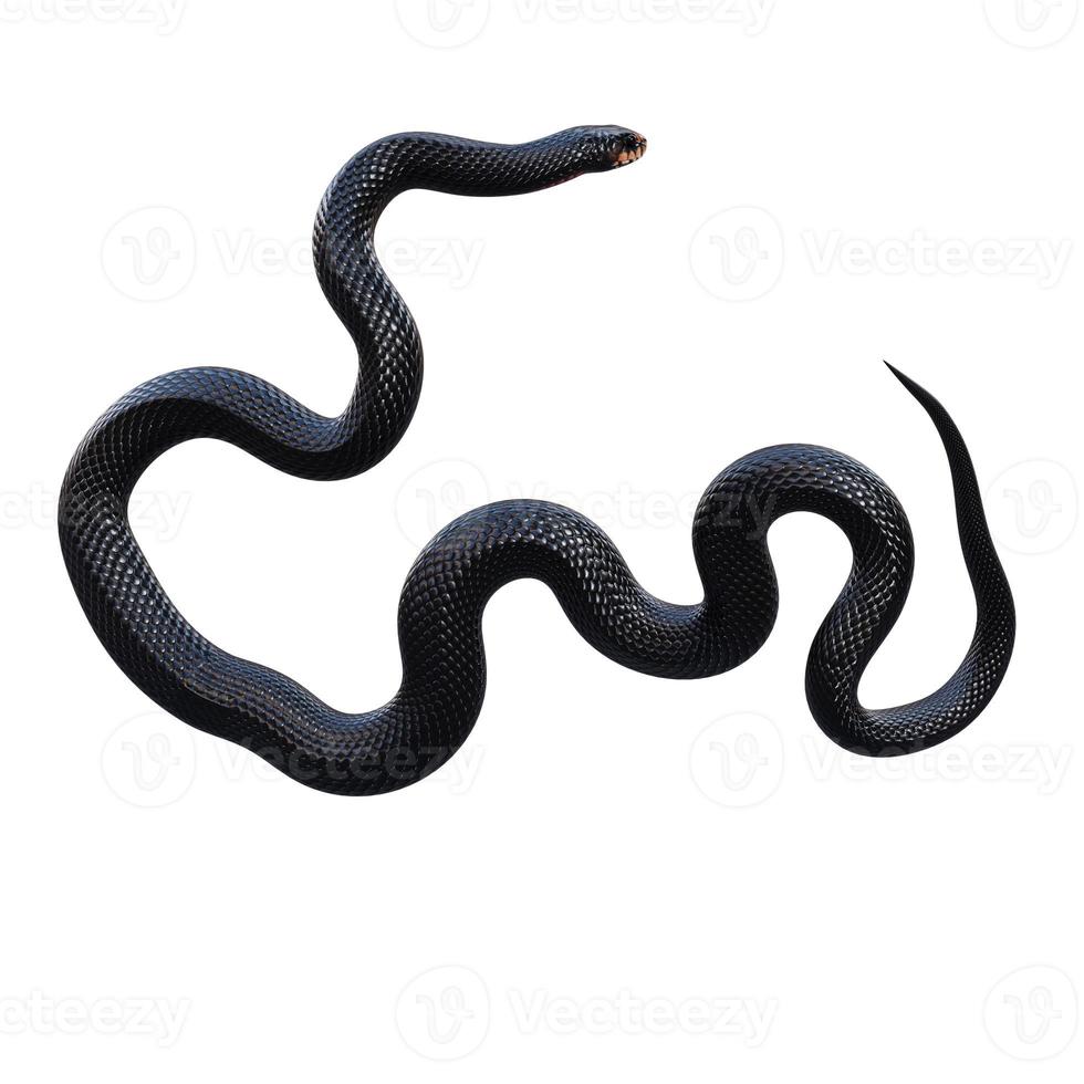 rosso panciuto nero serpente 3d illustrazione foto