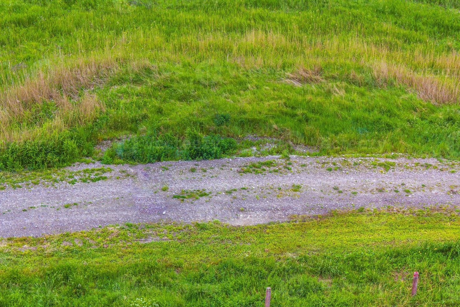 nord Tedesco agricolo campo diga alberi natura paesaggio panorama Germania. foto