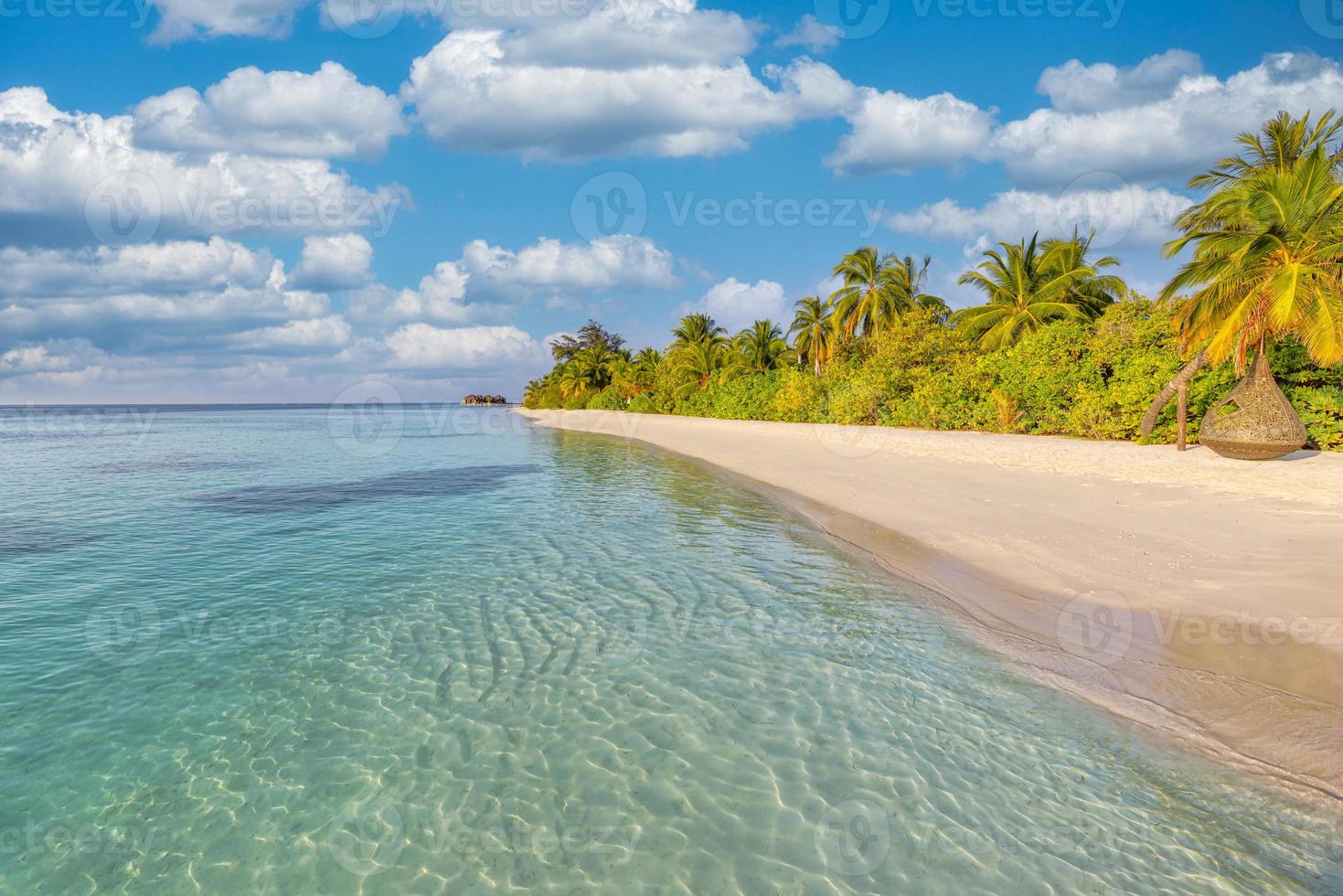 tropicale Paradiso spiaggia con bianca sabbia e cocco palme viaggio turismo largo panorama sfondo concetto. mattina luce del sole, rilassare vibrazioni, blu nuvoloso cielo, esotico costa. isola vacanza, estate paesaggio foto