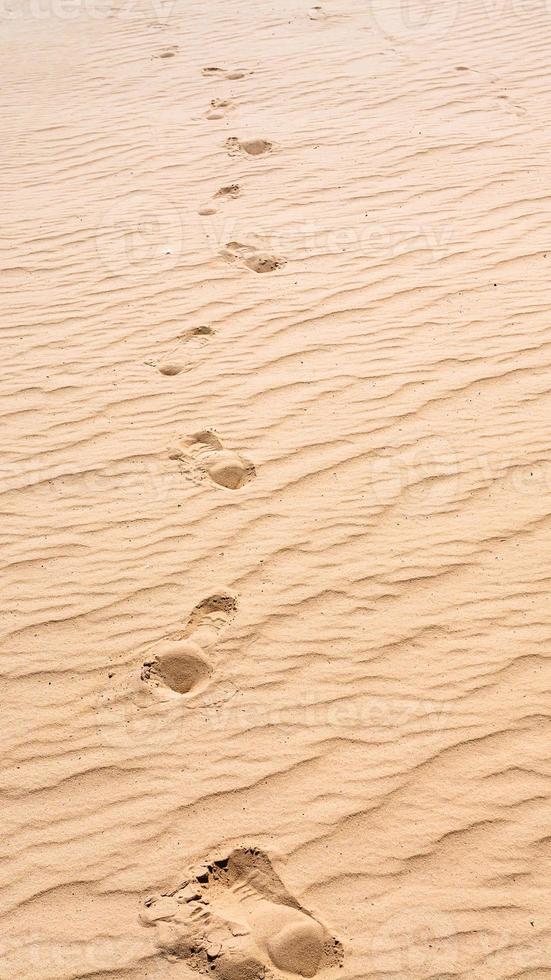 impronte su il sabbia di duna nel wadi Rum deserto foto