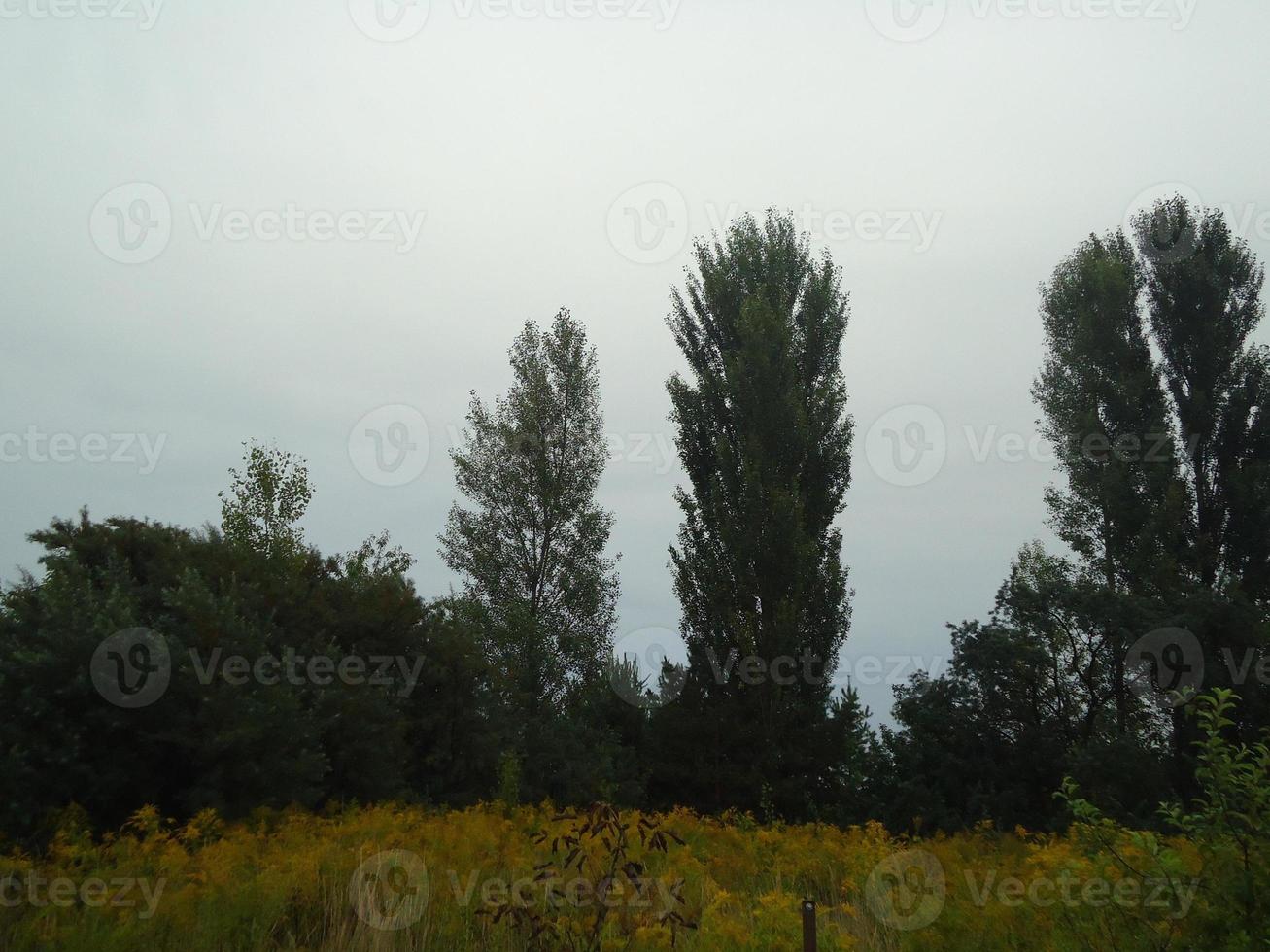 panorama di il autunno campo nel il villaggio foto