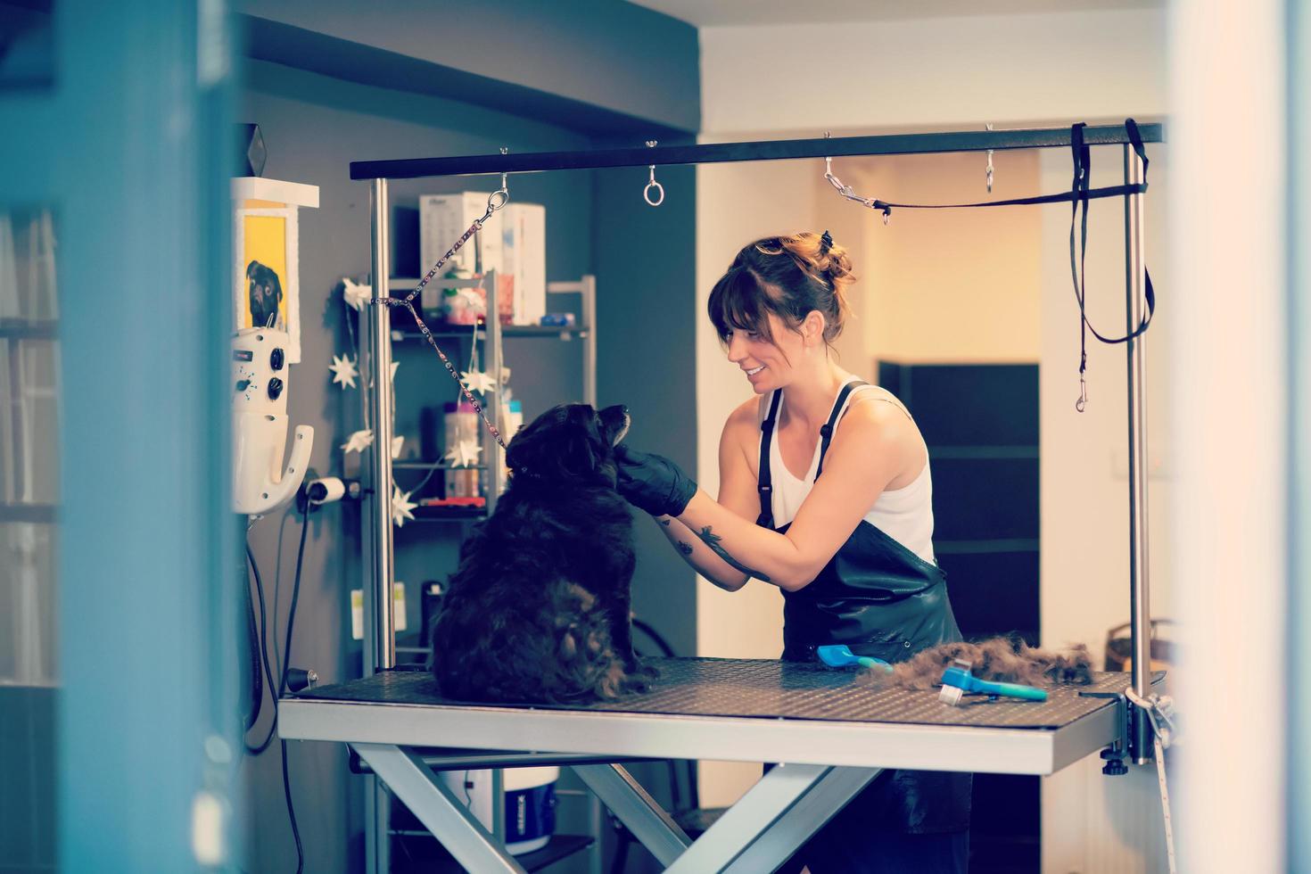 animale domestico parrucchiere donna taglio pelliccia di carino nero cane foto