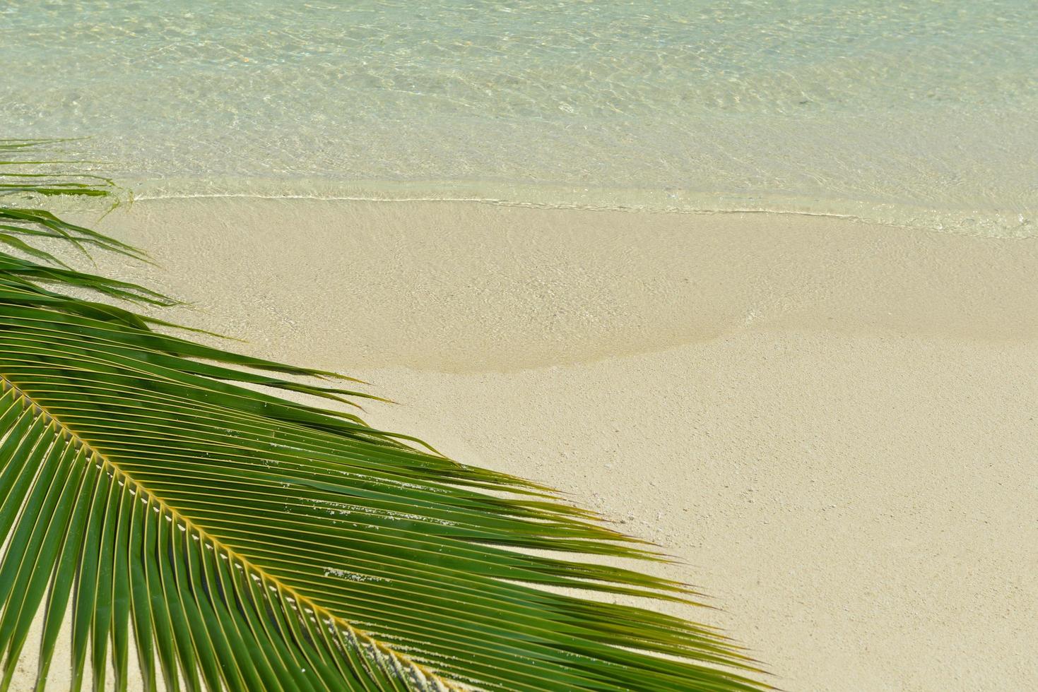 paesaggio tropicale della spiaggia foto