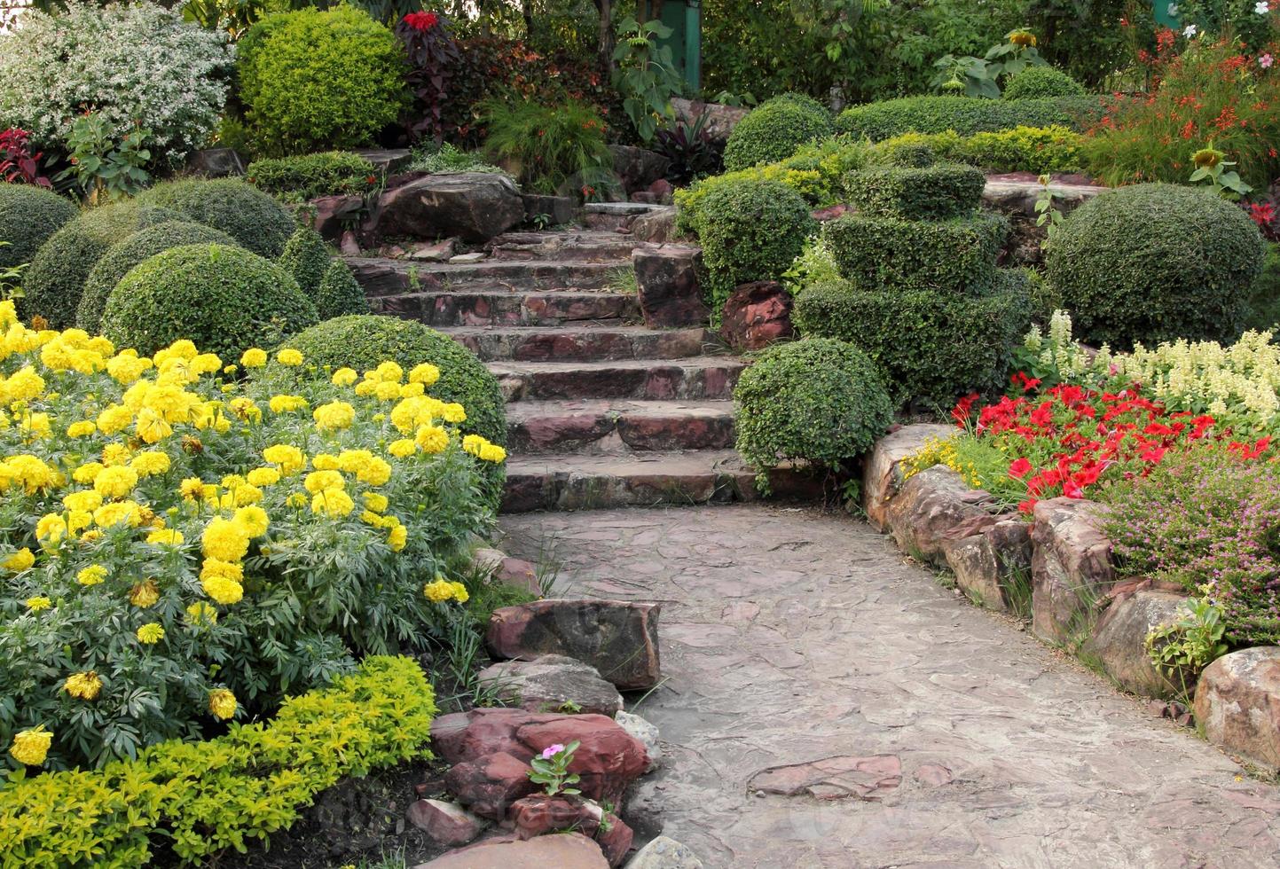 pietra passerella nel fiore giardino foto