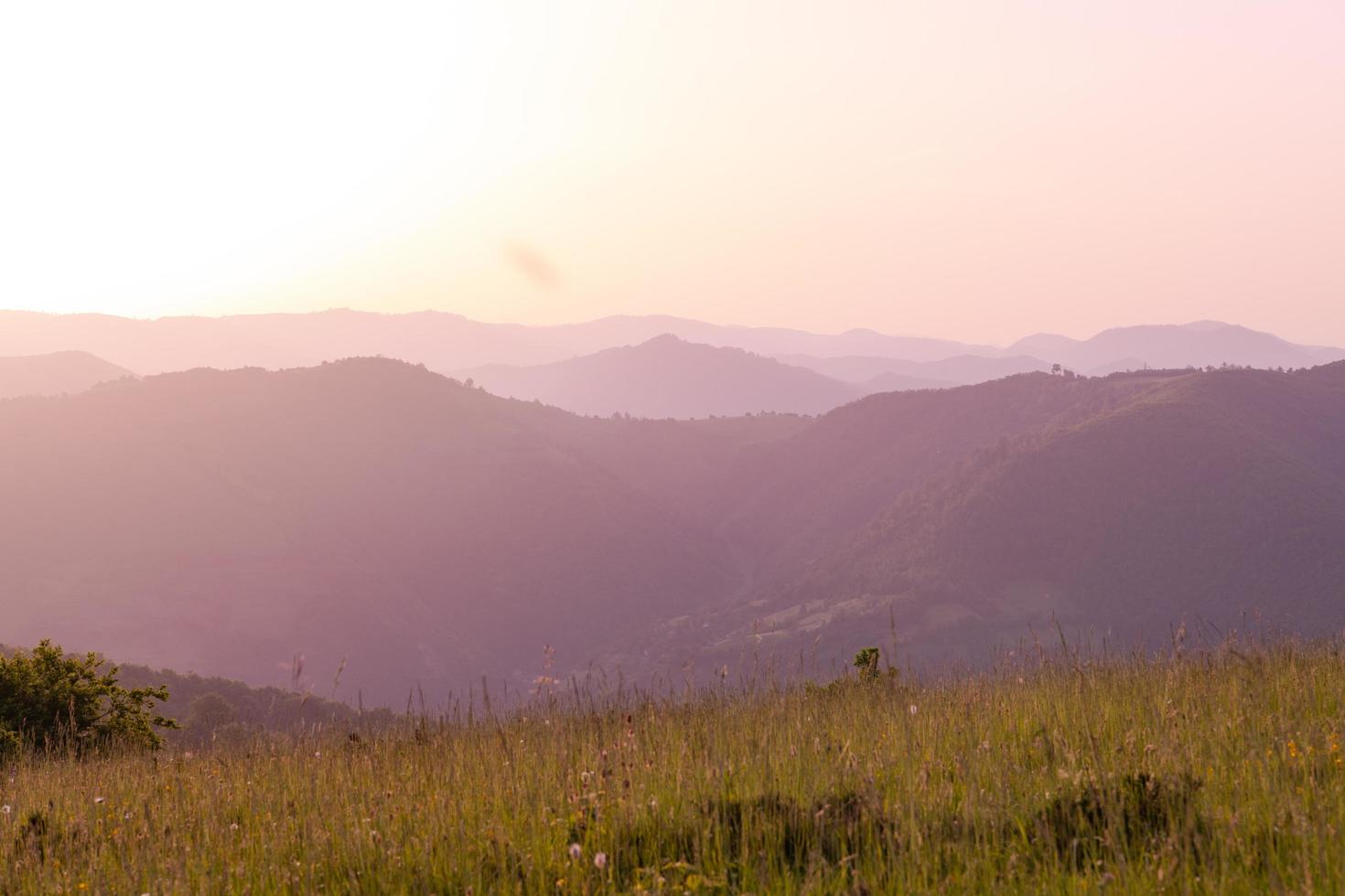 paesaggio natura estate foto