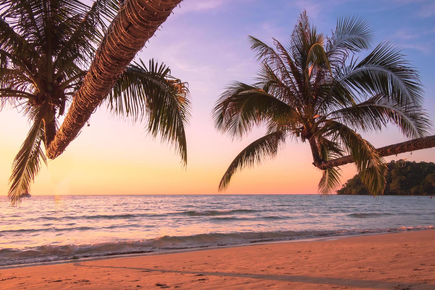 bellissima spiaggia tropicale al tramonto con palme e cielo blu per viaggiare in vacanza relax tempo, foto stile vintage