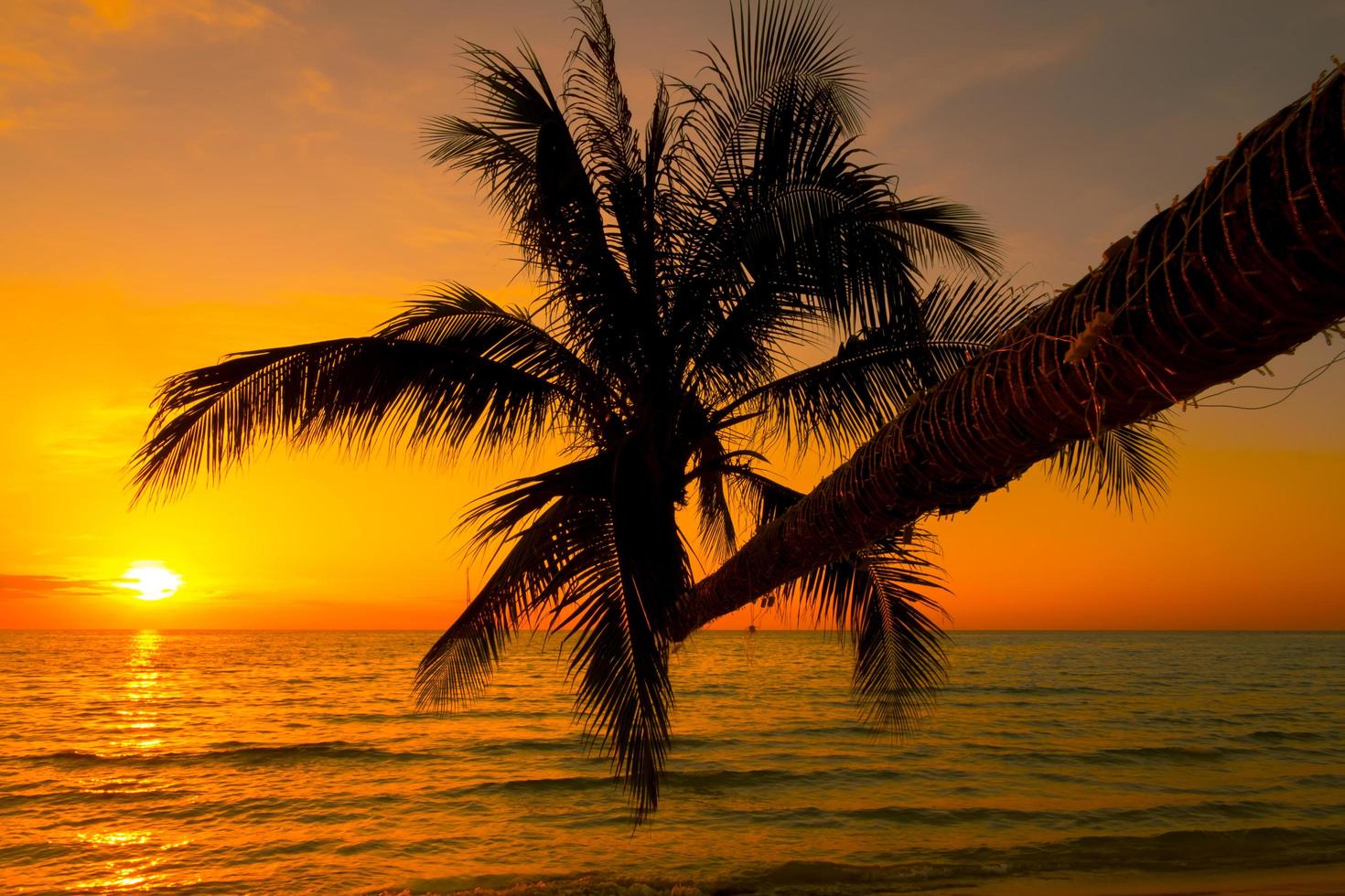 silhouette di bellissimo tramonto su il mare spiaggia con palma albero per viaggio nel vacanza rilassare volta, foto