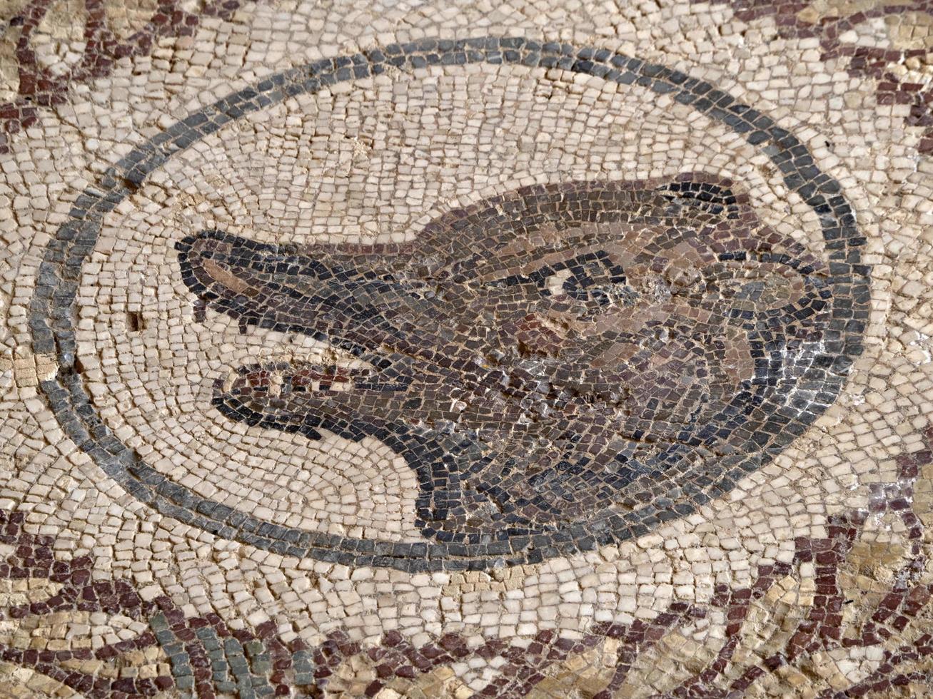 antico romano mosaico di villa del casale, sicilia foto