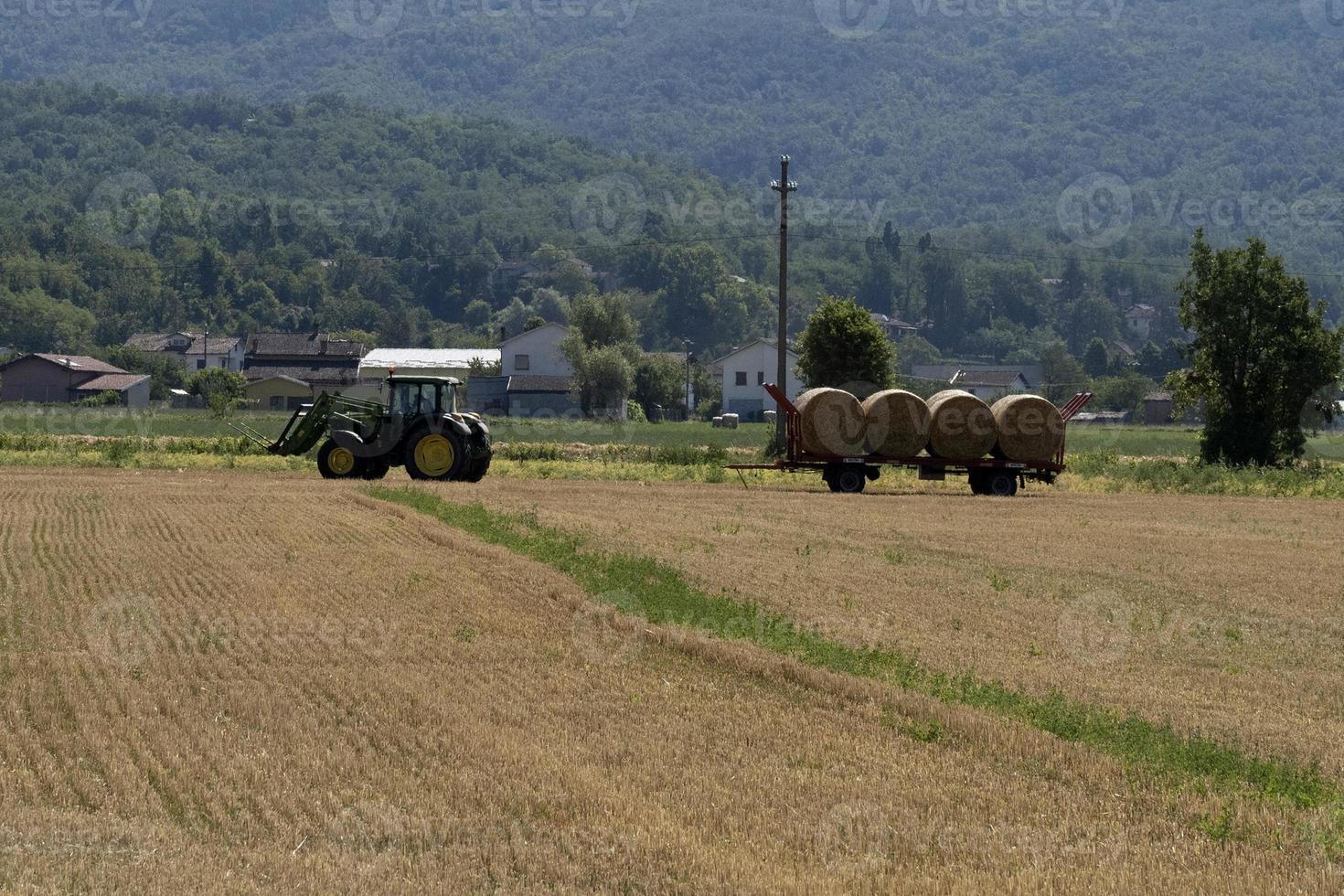 trattore raccolta fieno nel estate foto