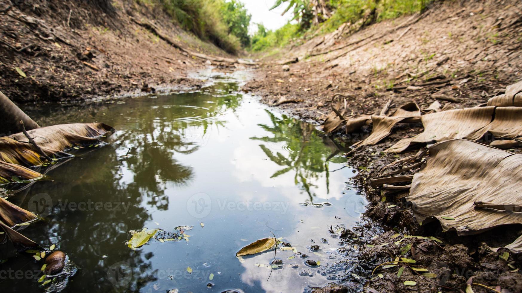 canale con livello dell'acqua basso a causa della siccità foto