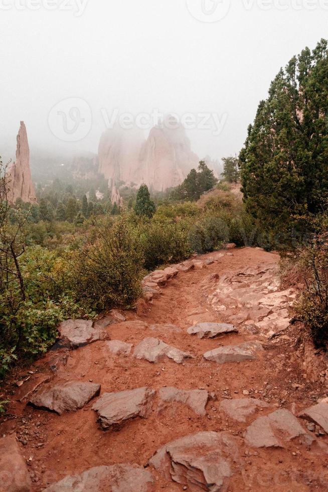 foresta con formazioni rocciose rosse foto