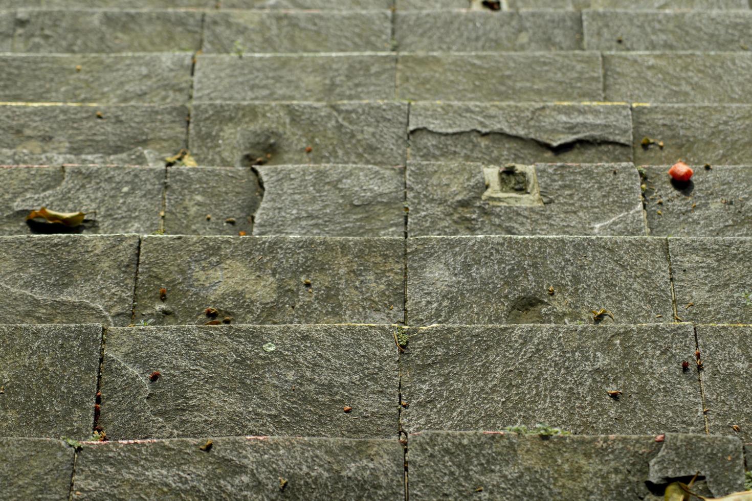 scale in pietra naturale con foglie foto