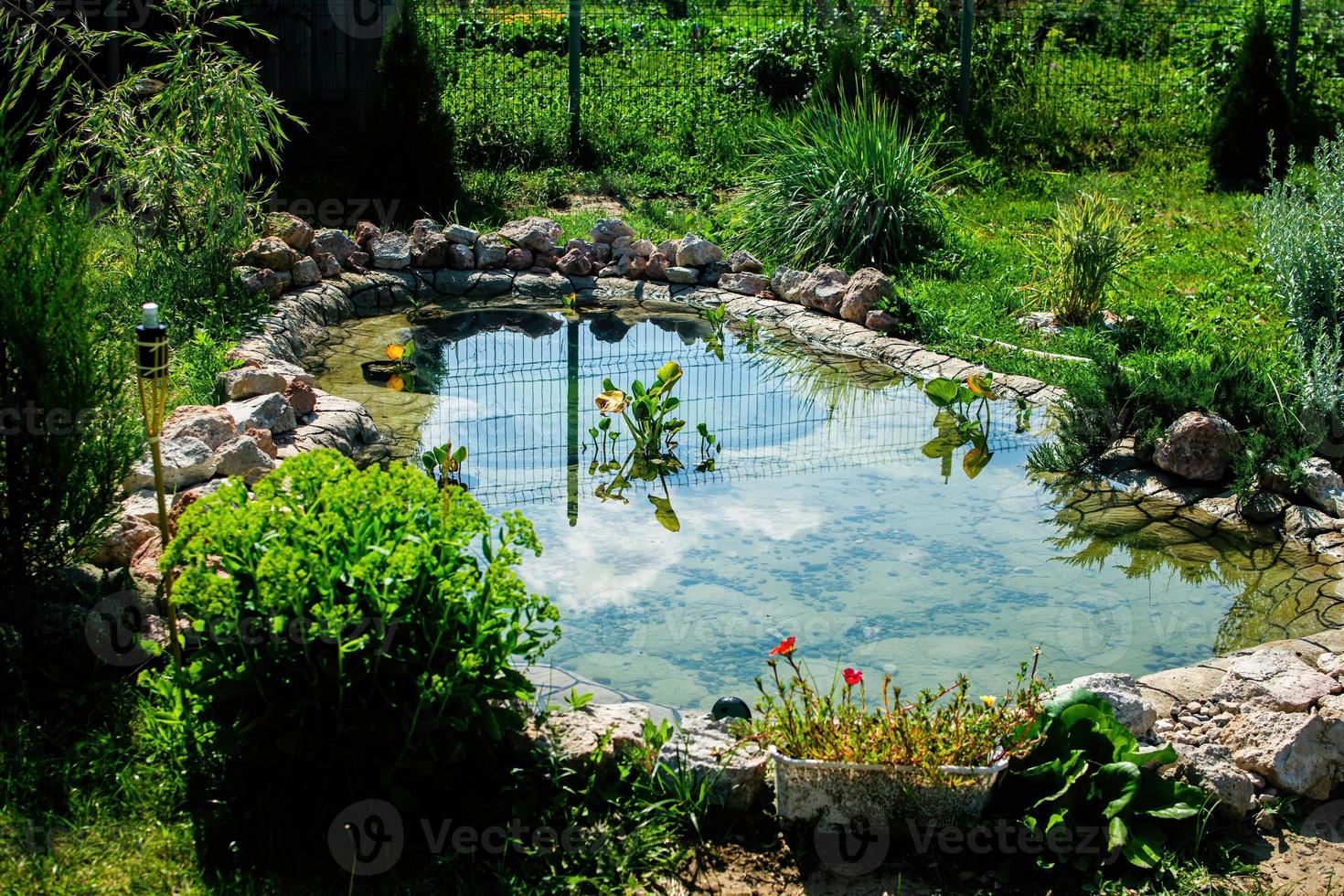 piccolo laghetto in giardino come elemento di design paesaggistico. foto