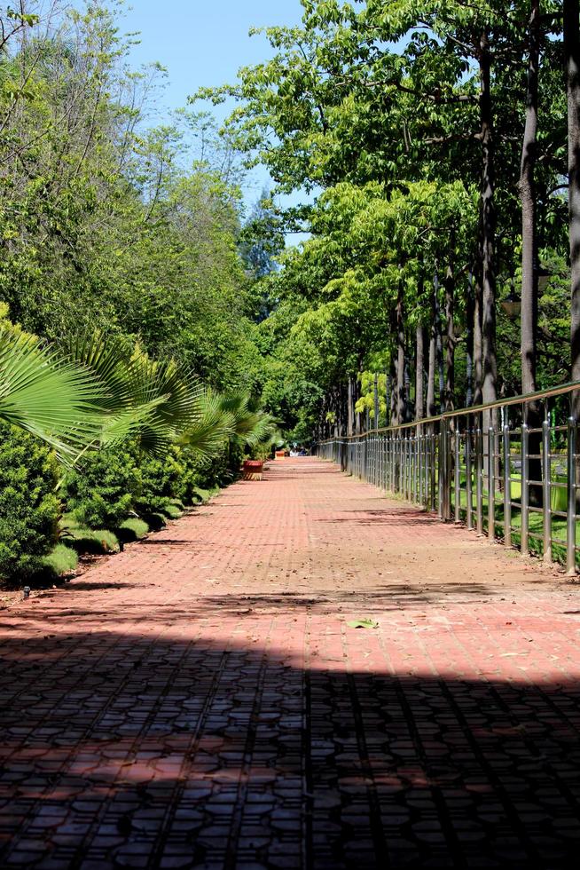 un' sentiero vicino il roccia giardino, almatti. foto