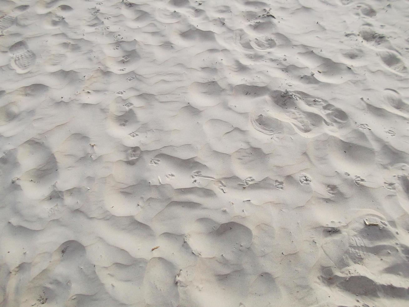 sabbia su il spiaggia. struttura. avvicinamento foto