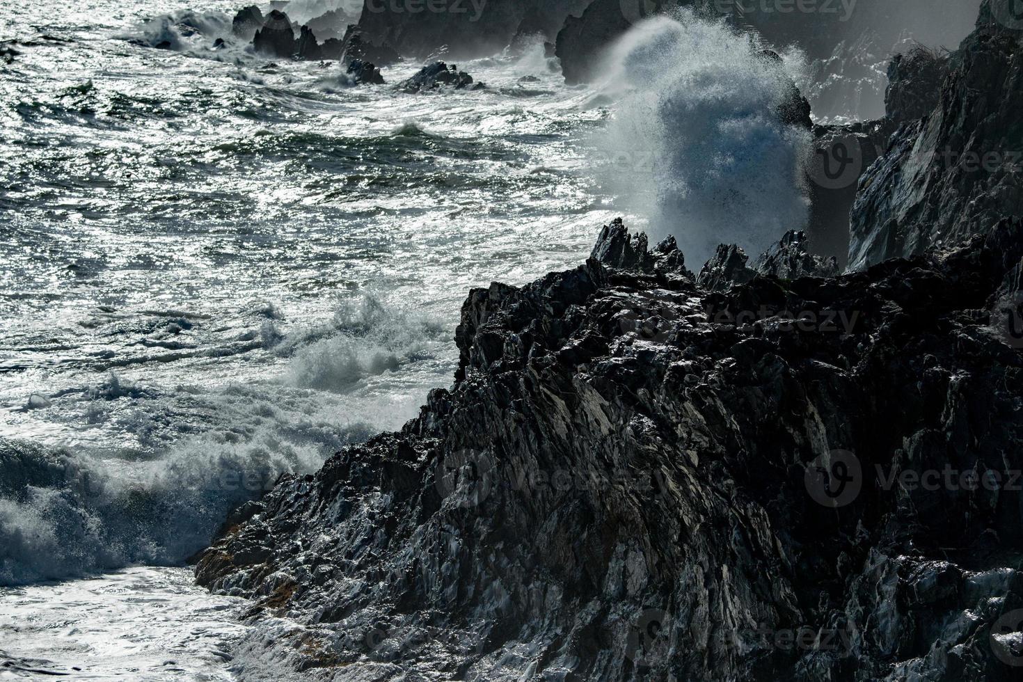 tsunami tropicale uragano su il mare foto