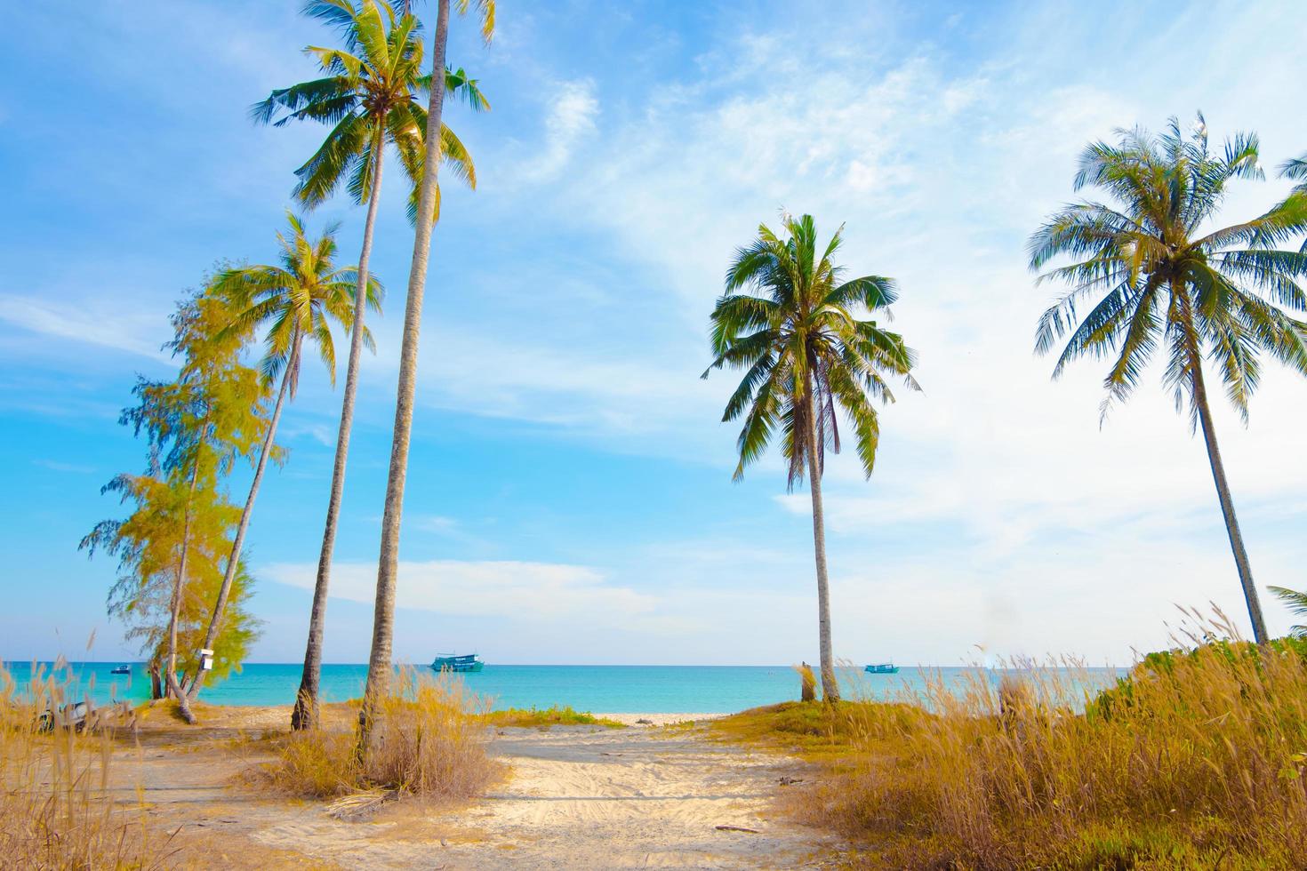 palma albero su bellissimo mare Visualizza con blu cielo per viaggio nel vacanza rilassare tempo foto