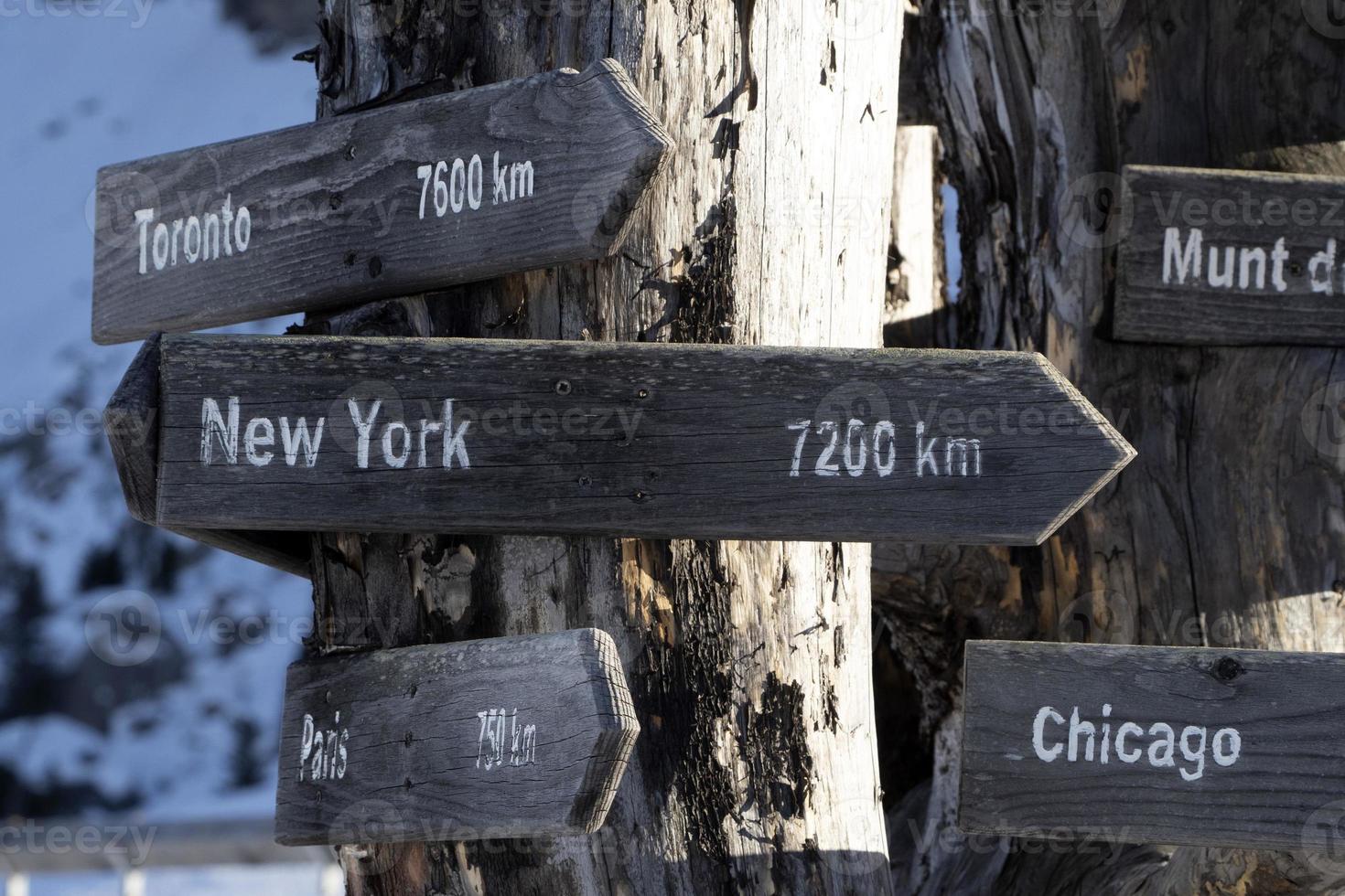 nuovo York distanza legna cartello su morto albero foto