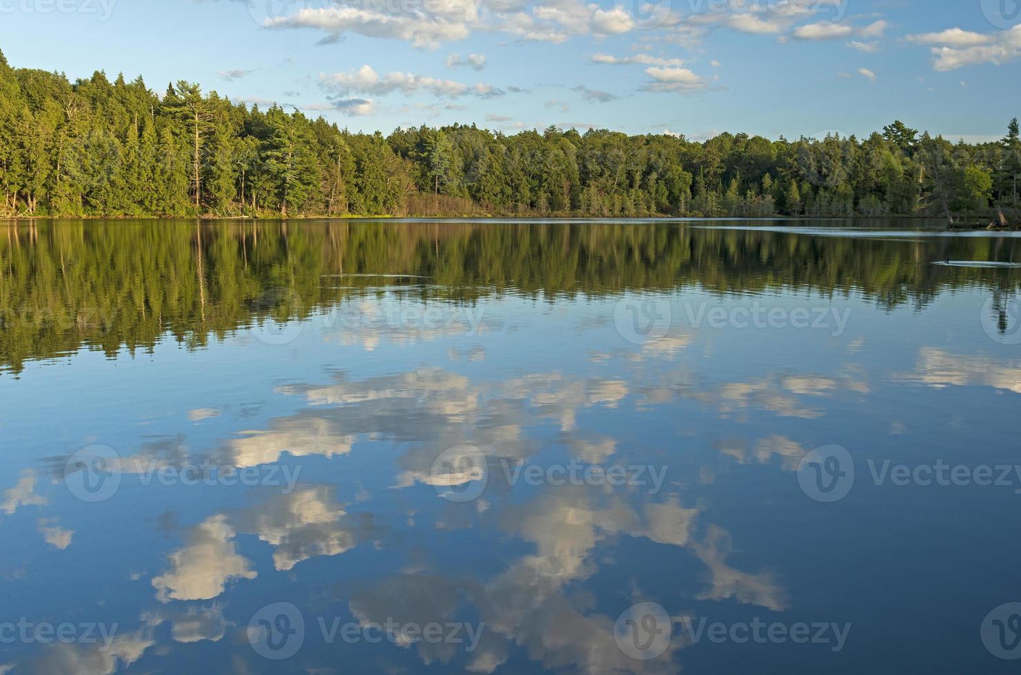 silenzioso riflessi su un' calma lago foto