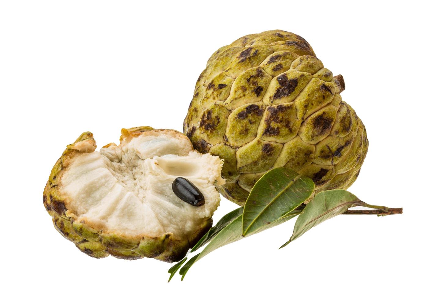 annona su sfondo bianco foto