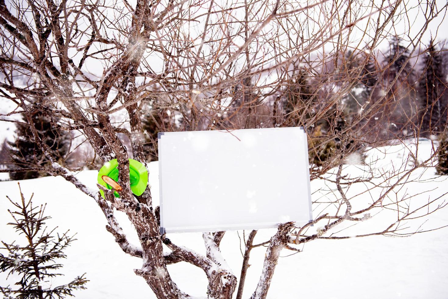 lavagna su inverno albero foto