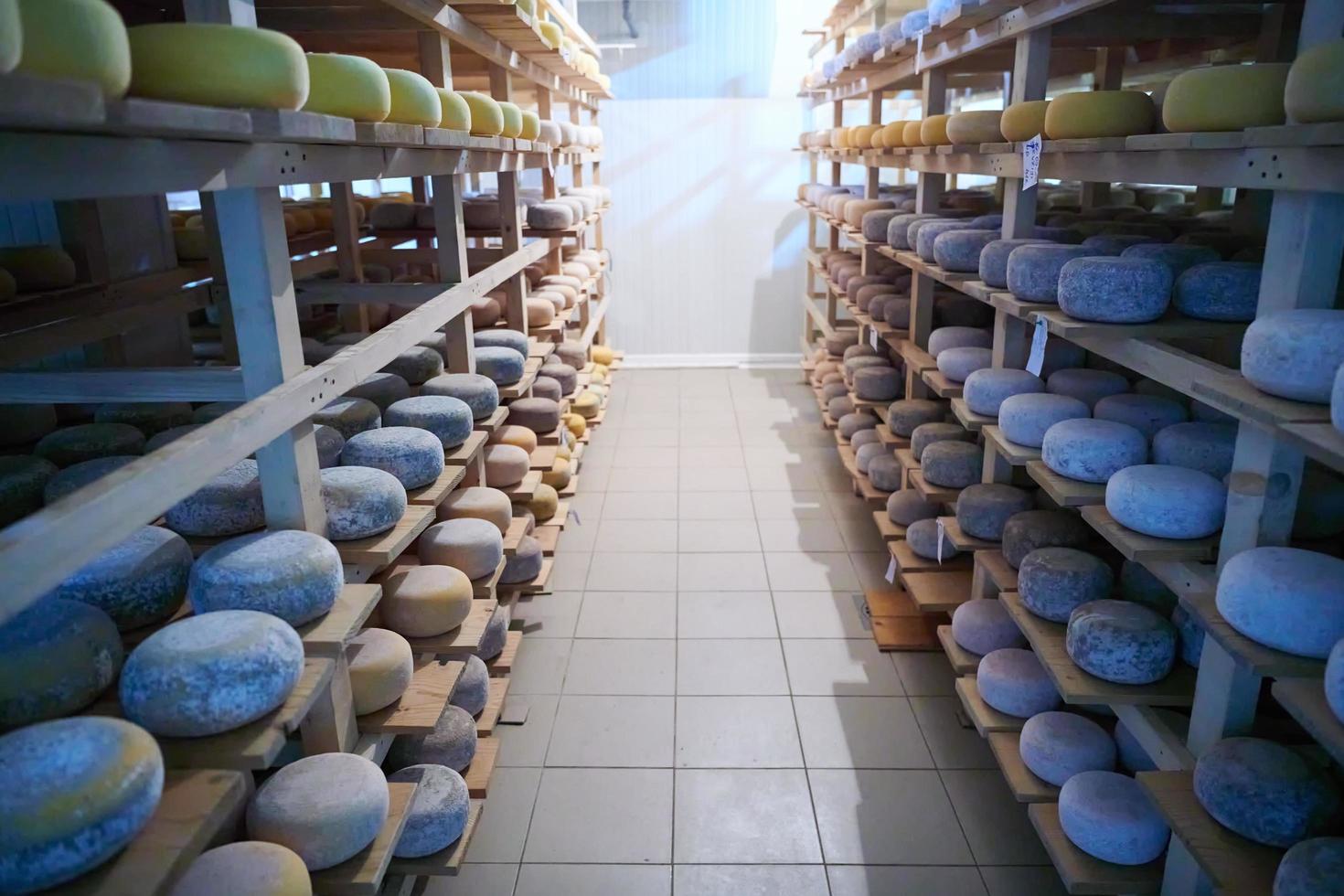 formaggio fabbrica produzione scaffali con invecchiamento vecchio formaggio foto