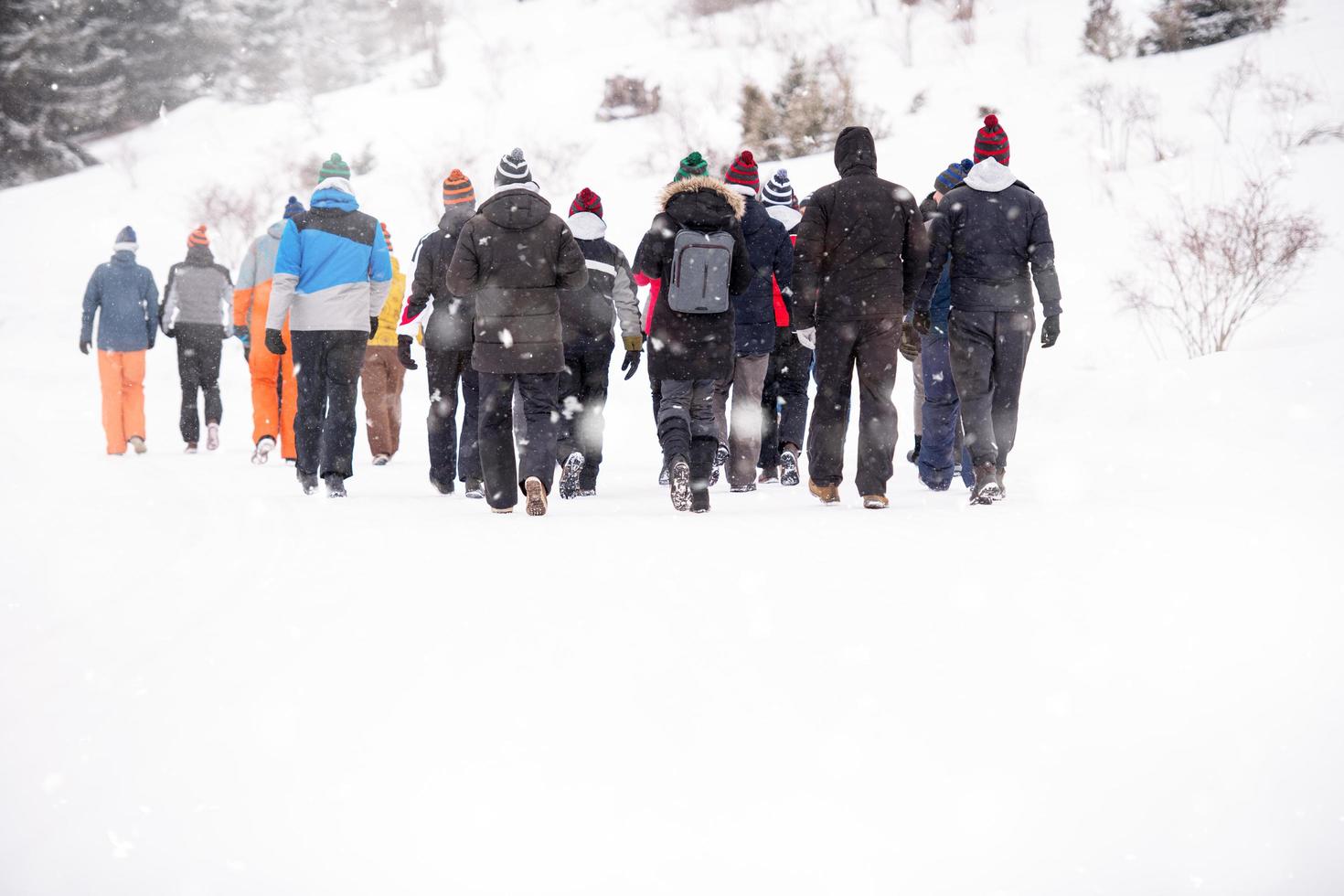 gruppo di giovane persone a piedi attraverso bellissimo inverno paesaggio foto