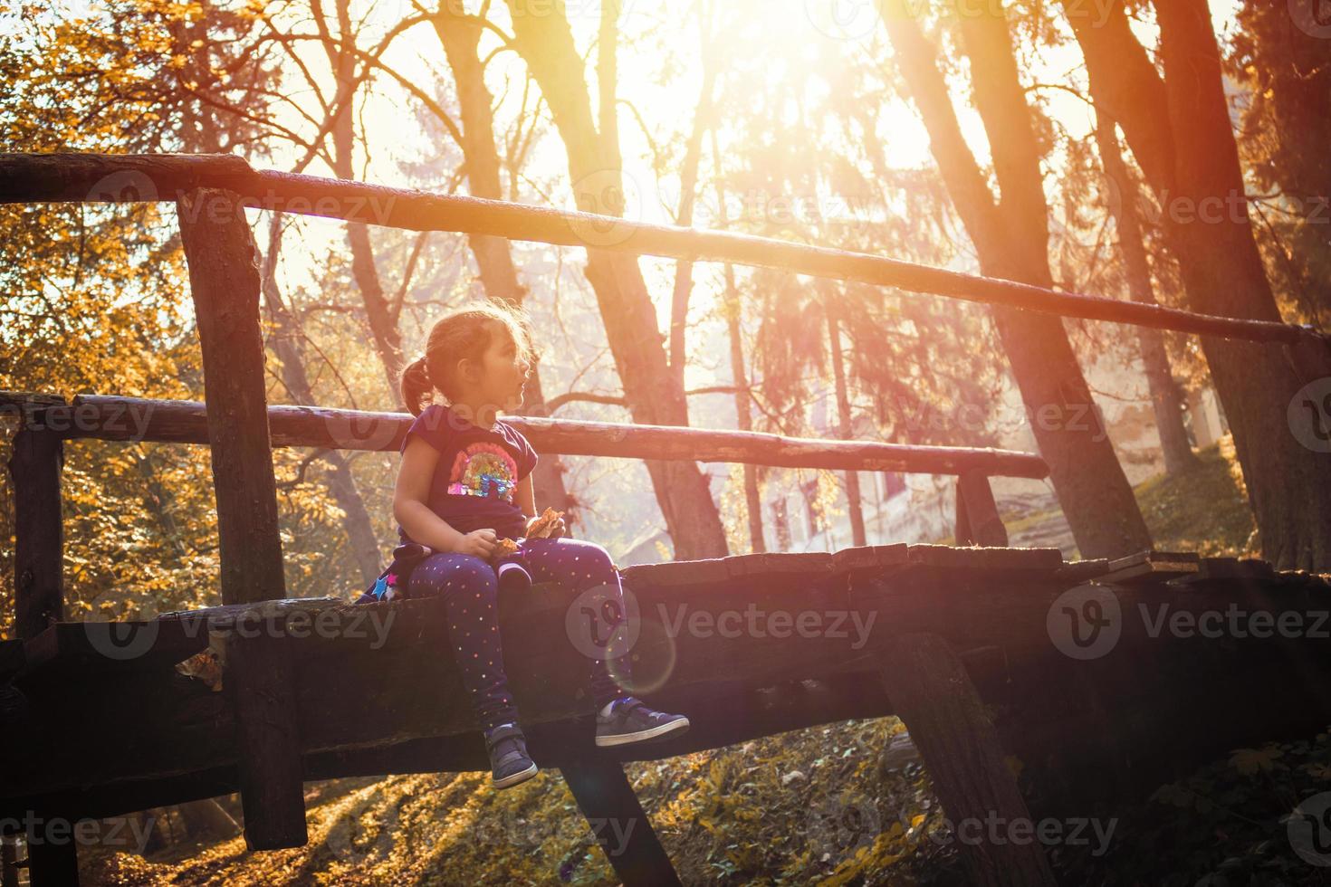 piccolo ragazza rilassante su di legno ponte durante soleggiato autunno giorno. foto