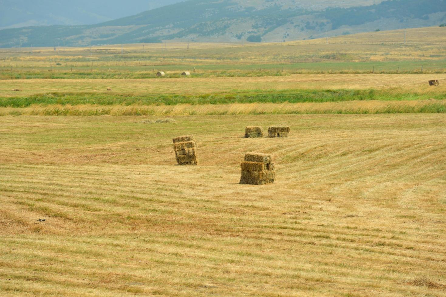 vista del paesaggio estivo foto